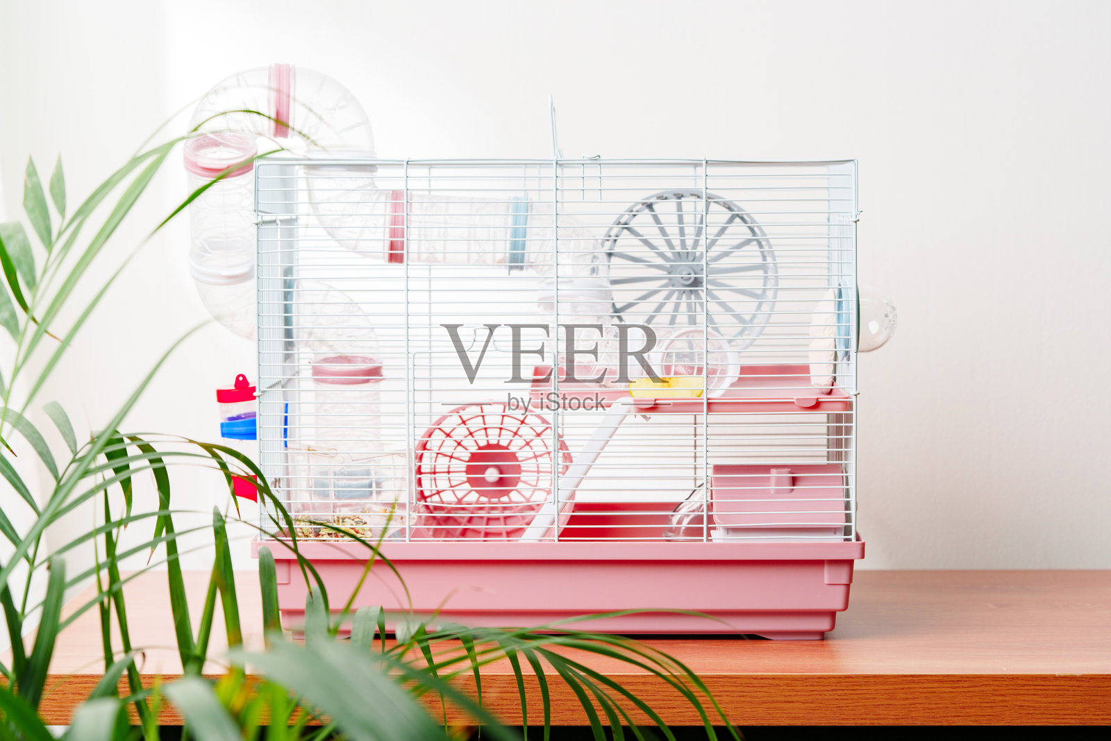 一个充满活力的仓鼠笼,配有轮子和配件,背景是室内绿色叶子的装饰。照片摄影图片