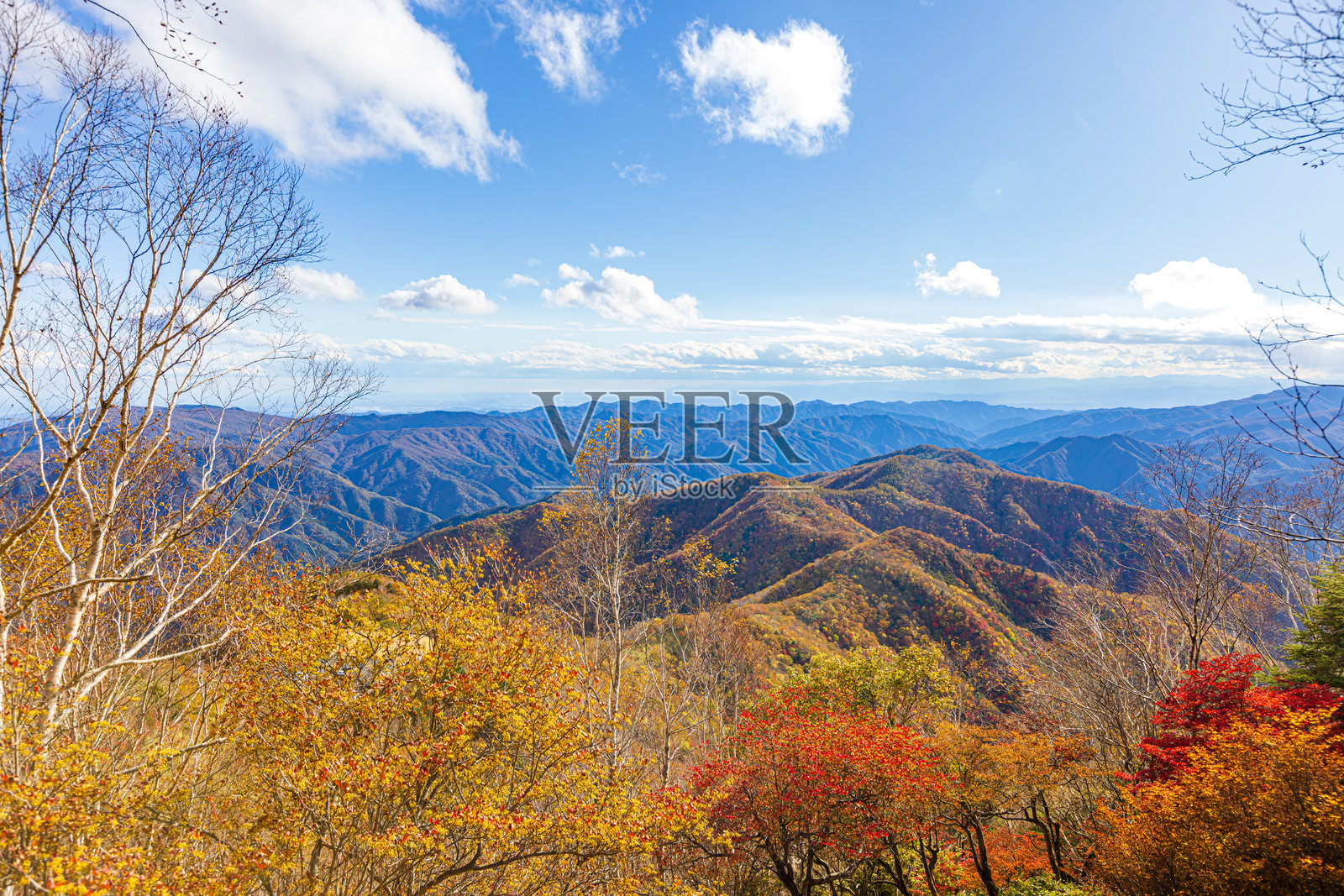 从日光的半月山俯瞰壮观景色照片摄影图片