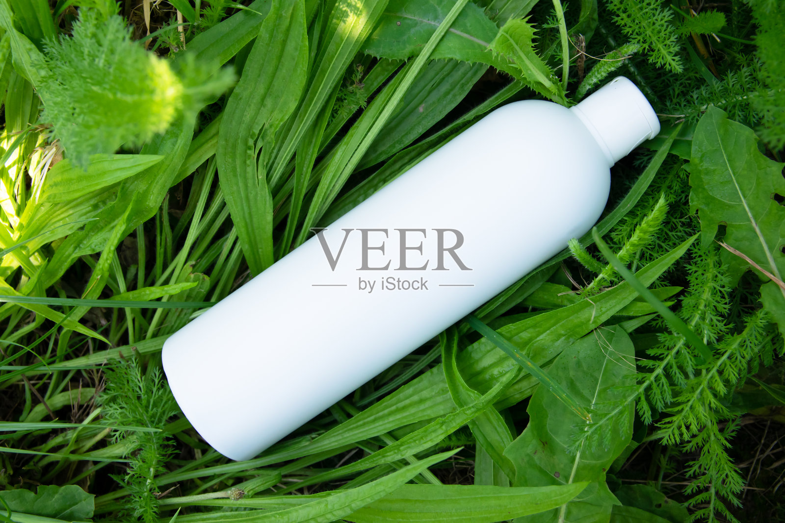 自然背景下的白色塑料瓶。照片摄影图片