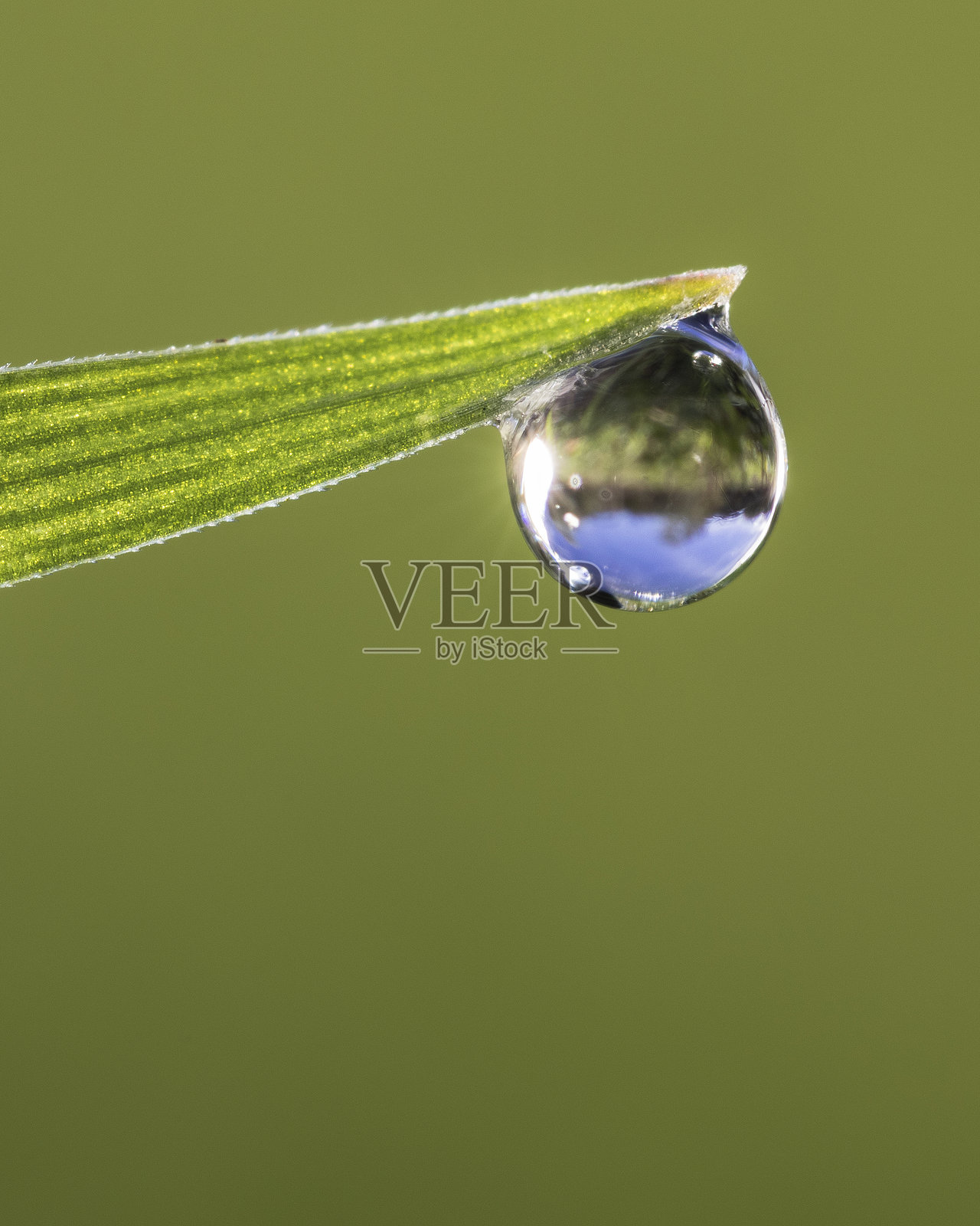 抱歉,我无法处理该请求。照片摄影图片