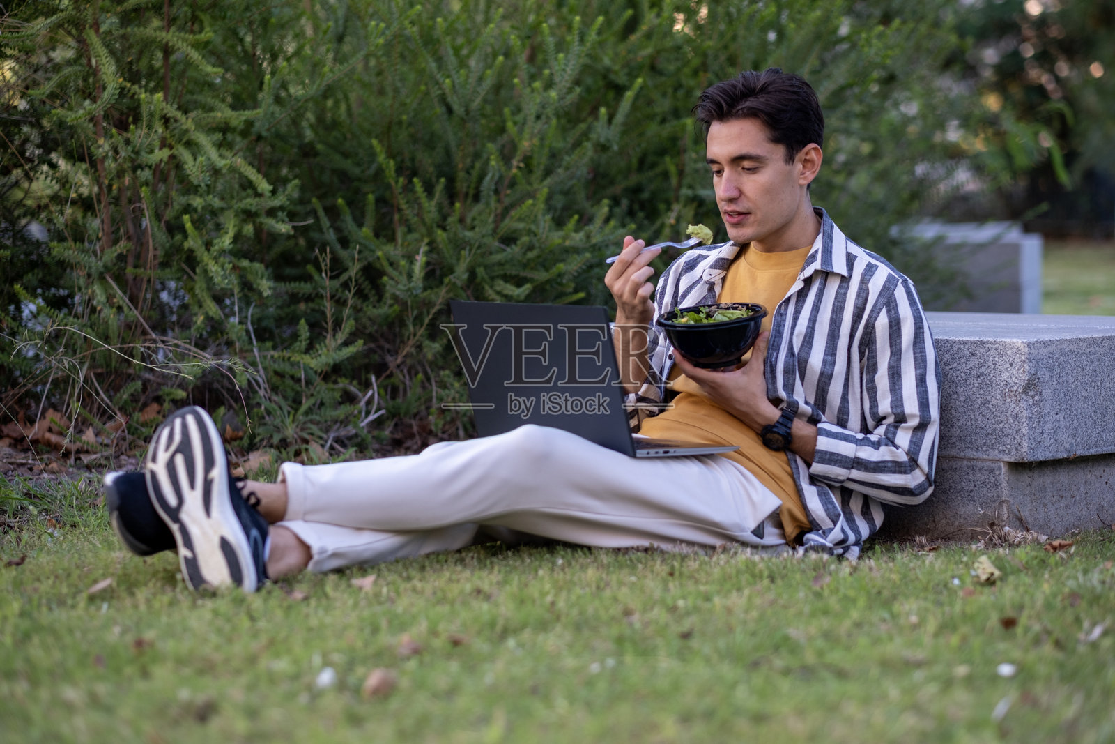 在公园里吃午餐的年轻人同时还在用笔记本电脑工作。照片摄影图片