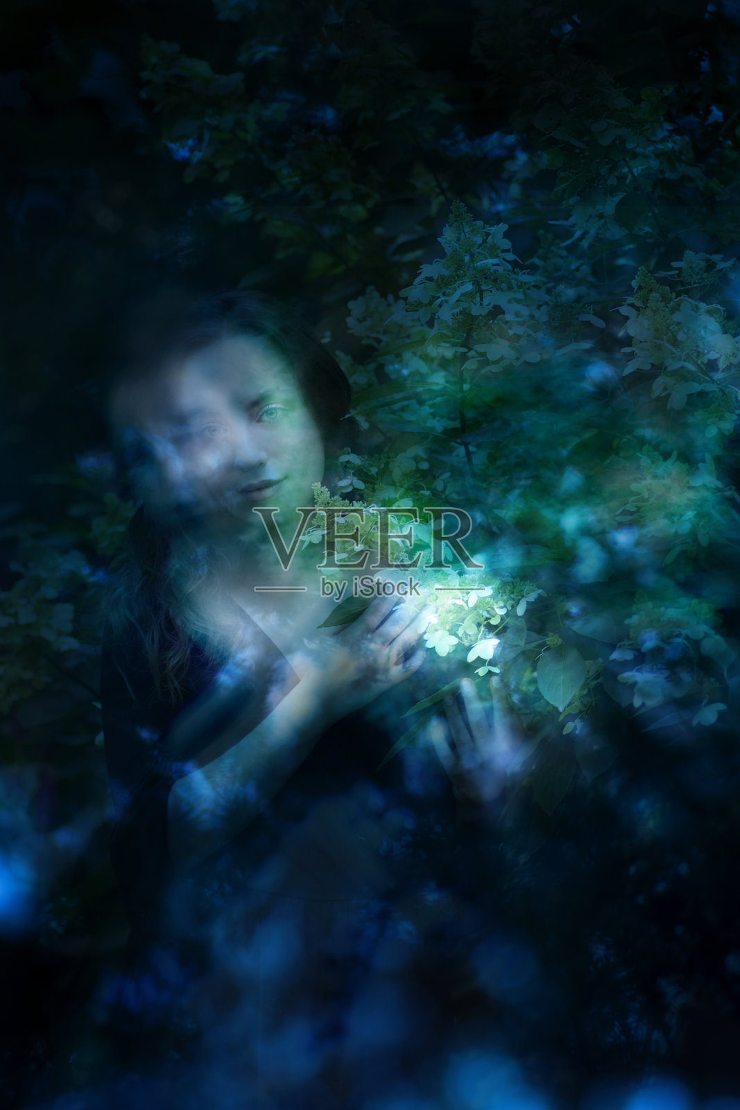 精神花卉的拥抱照片摄影图片