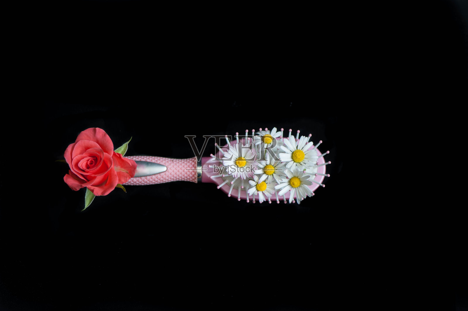 带有雏菊和玫瑰的发刷照片摄影图片