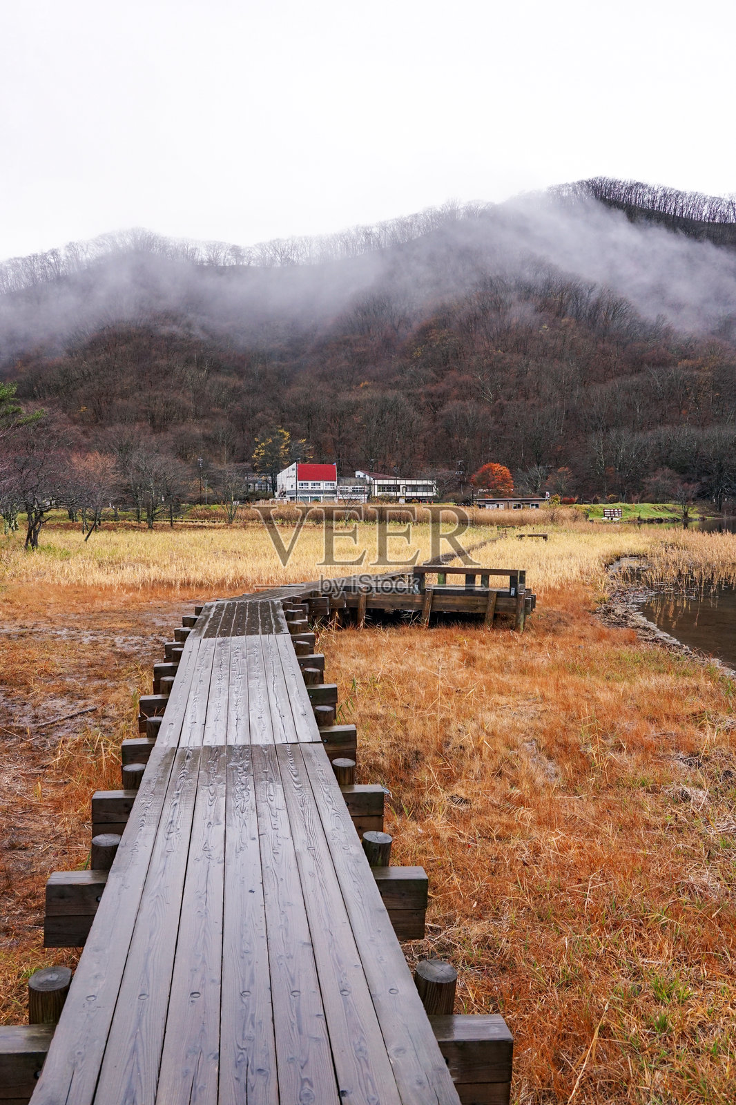 秋季雾气弥漫的榛名湖风景(日本群马县高崎市榛名湖町)照片摄影图片