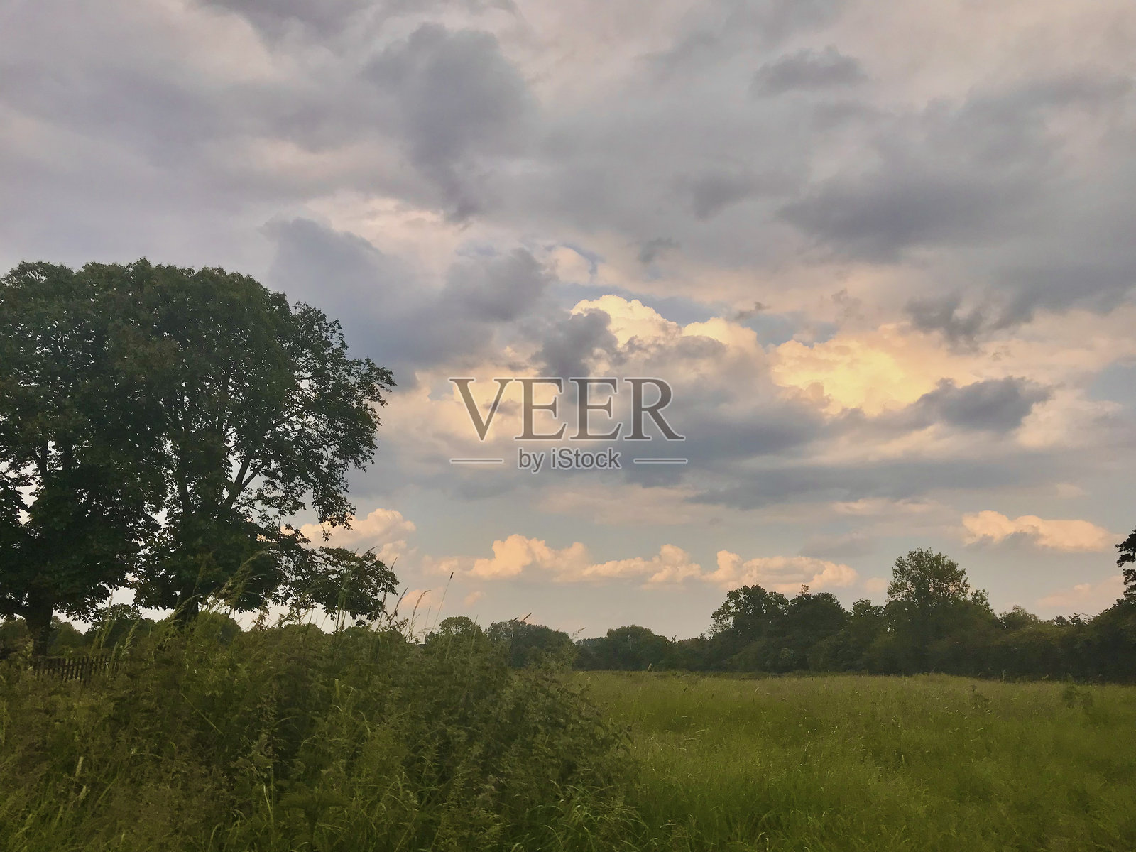 蓝天照耀着阳光,云朵轮廓分明,周围是郁郁葱葱的绿叶和树木,农田和草地的风景。照片摄影图片