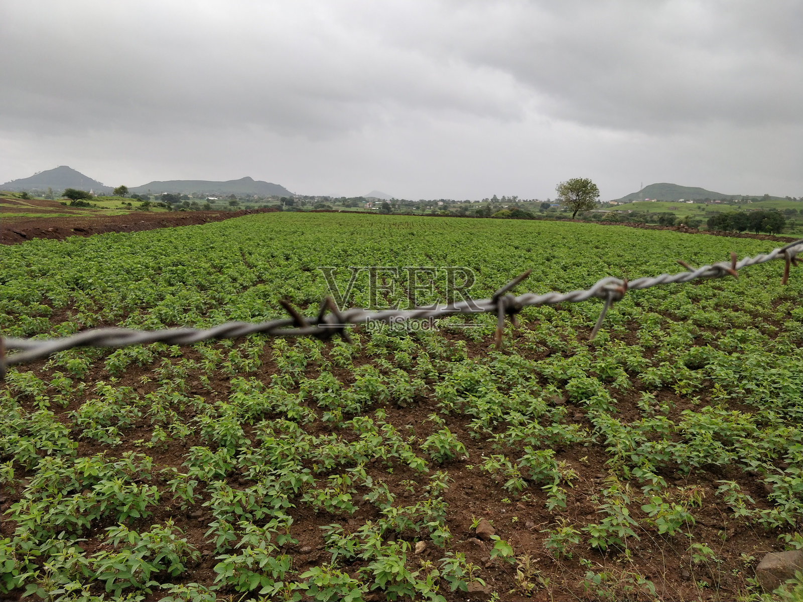 田野与天空的美丽景色照片摄影图片