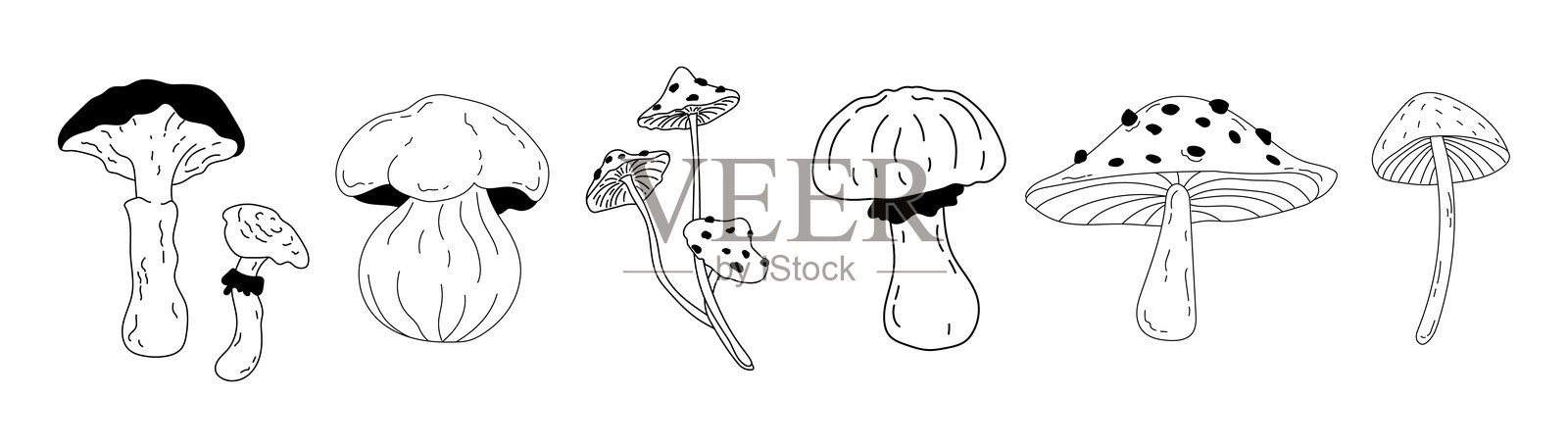 一组不同季节的秋季蘑菇,采用涂鸦风格绘制插画图片素材