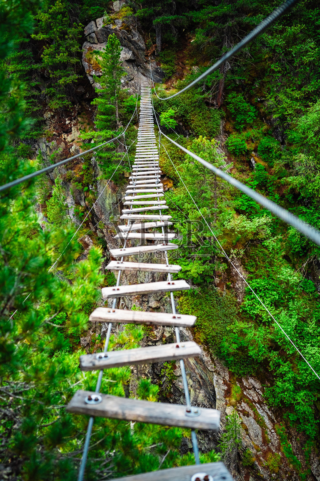 冒险的木板悬索桥照片摄影图片