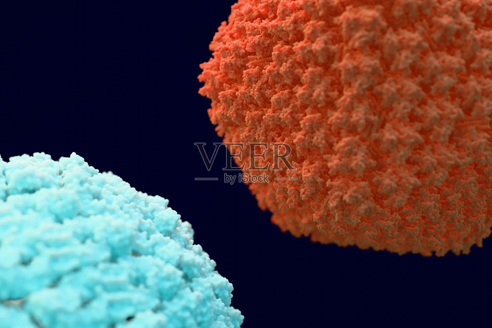 病毒衣壳蛋白结构照片摄影图片