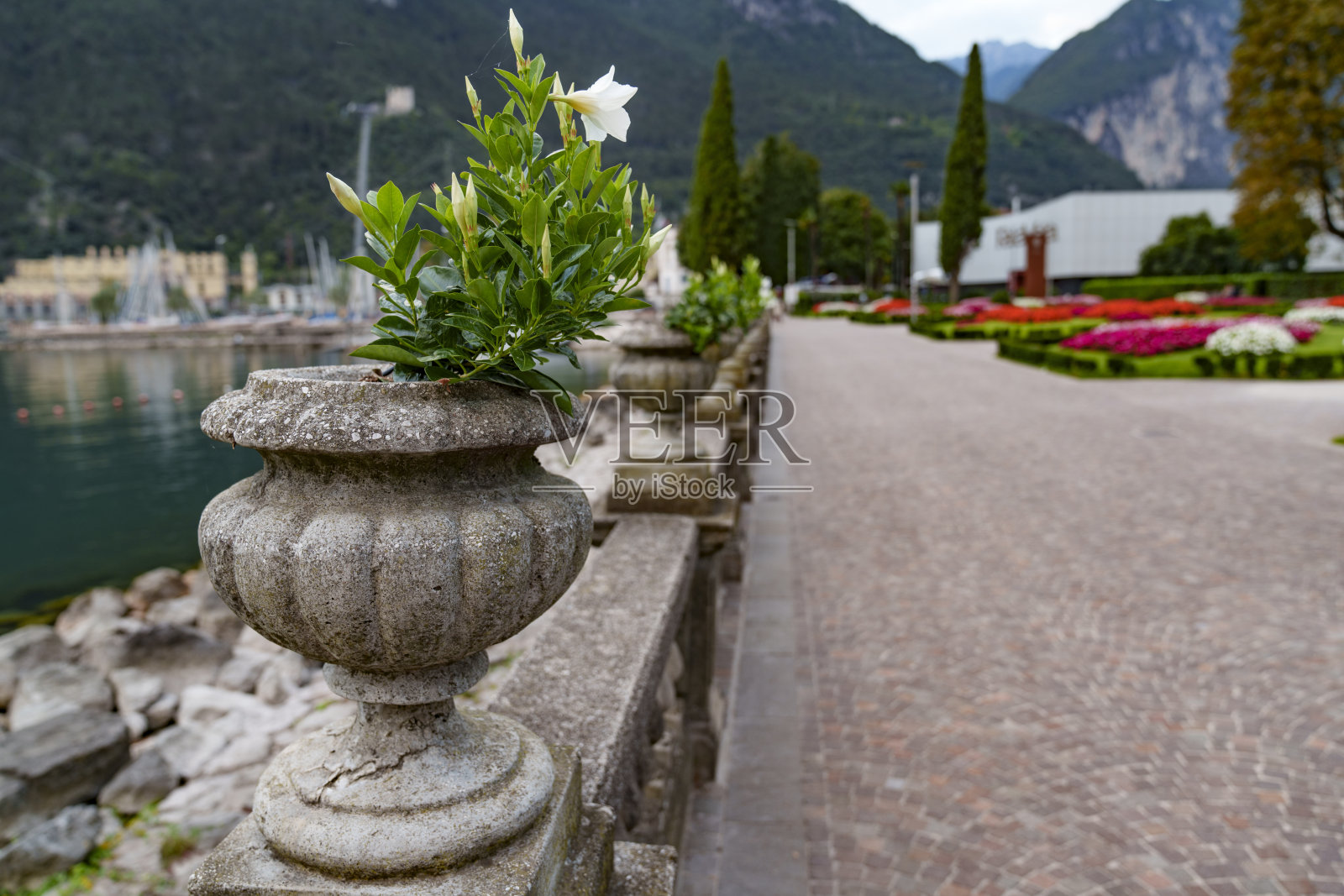 湖边的旧花盆与植物照片摄影图片