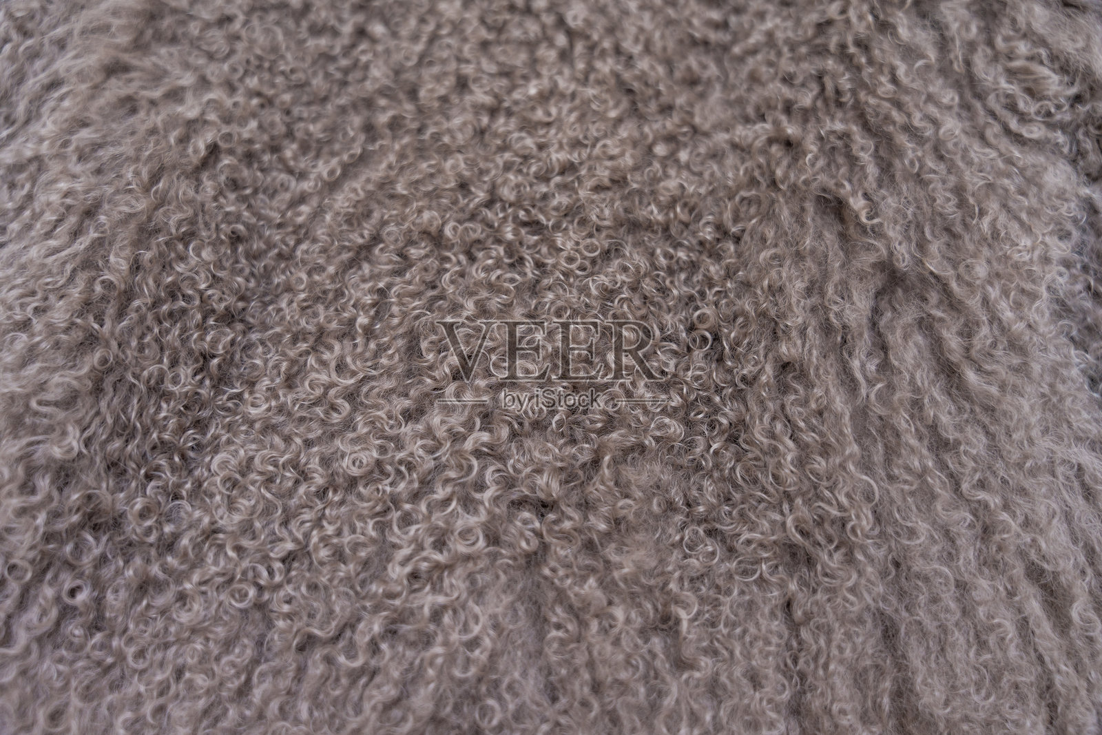 灰色调蒙古羊皮毛大衣柔软质感照片摄影图片