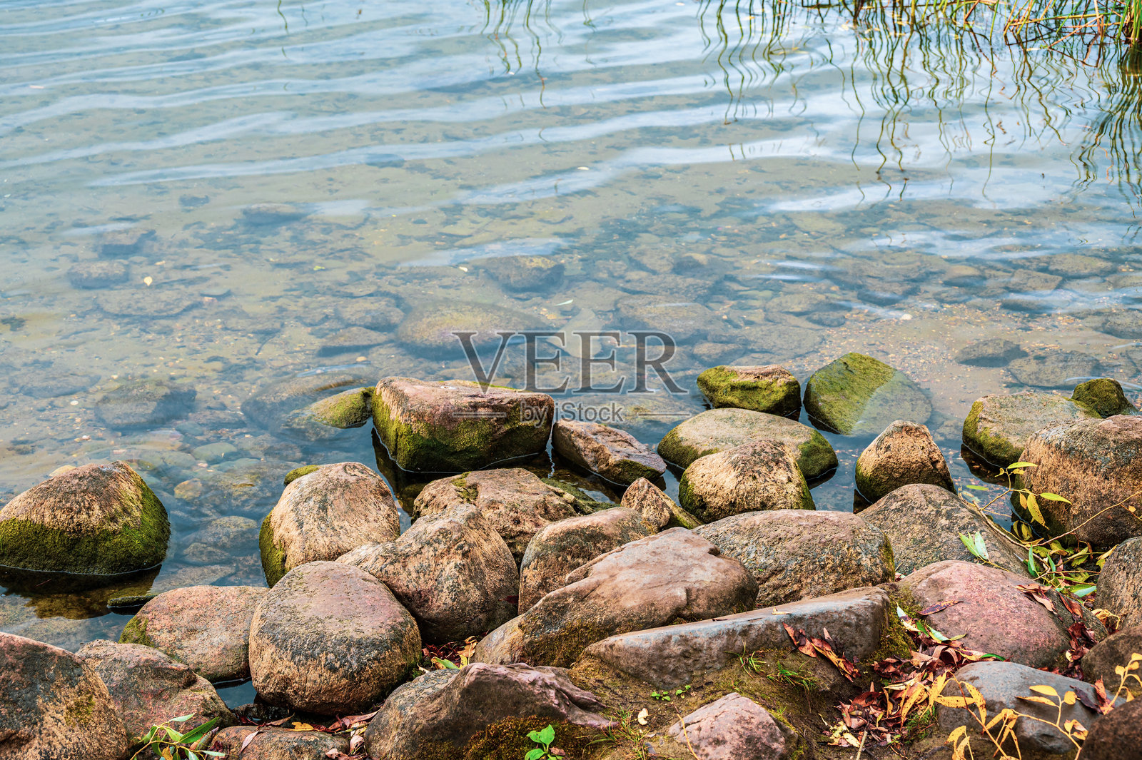 湖边石岸的水边。秋季素描。照片摄影图片