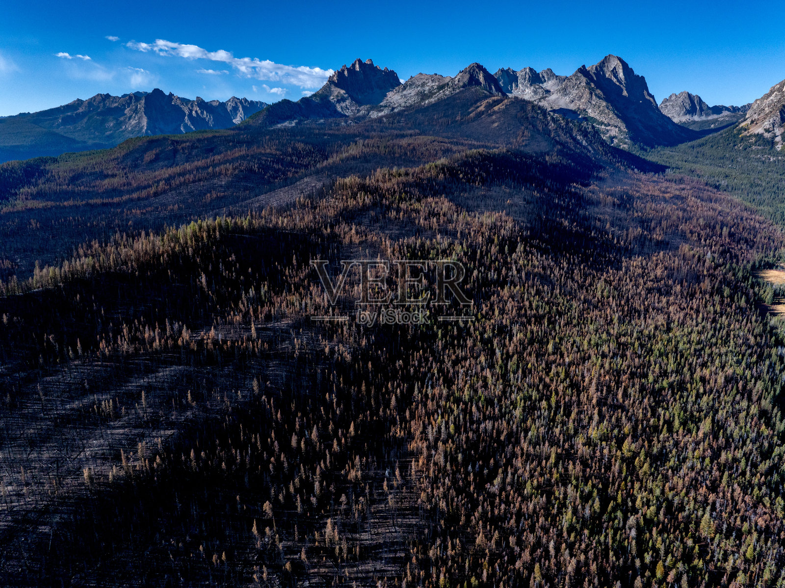 爱达荷州锯齿山脉的森林火灾烧毁区域照片摄影图片