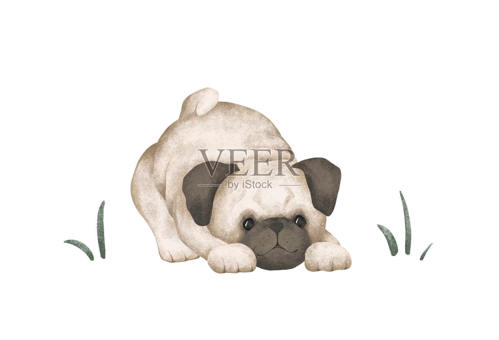 卡通动物狗和绿色草地,适合儿童设计。手绘的巴哥犬坐着或躺在孤立背景上。极简斯堪的纳维亚风格。可爱的宠物适合儿童帖子或贴纸。插画图片素材