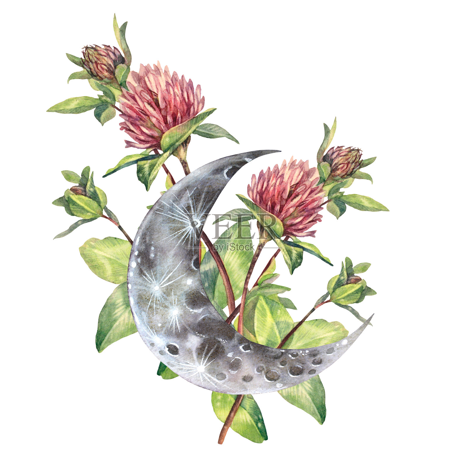 水彩魔法月亮与波西米亚风格的花卉三叶草,孤立在白色背景上。手绘的夜晚月亮,适合用作贴纸或壁纸。嬉皮风格的包装设计。天空中的占星物体。适合素描本的剪贴画。插画图片素材