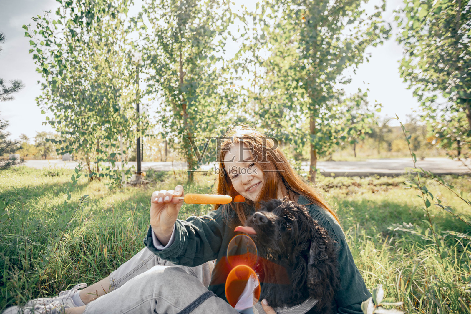 红发女性,公园里的狗与冰淇淋,快乐的清凉:宠物友好的冰棒体验照片摄影图片