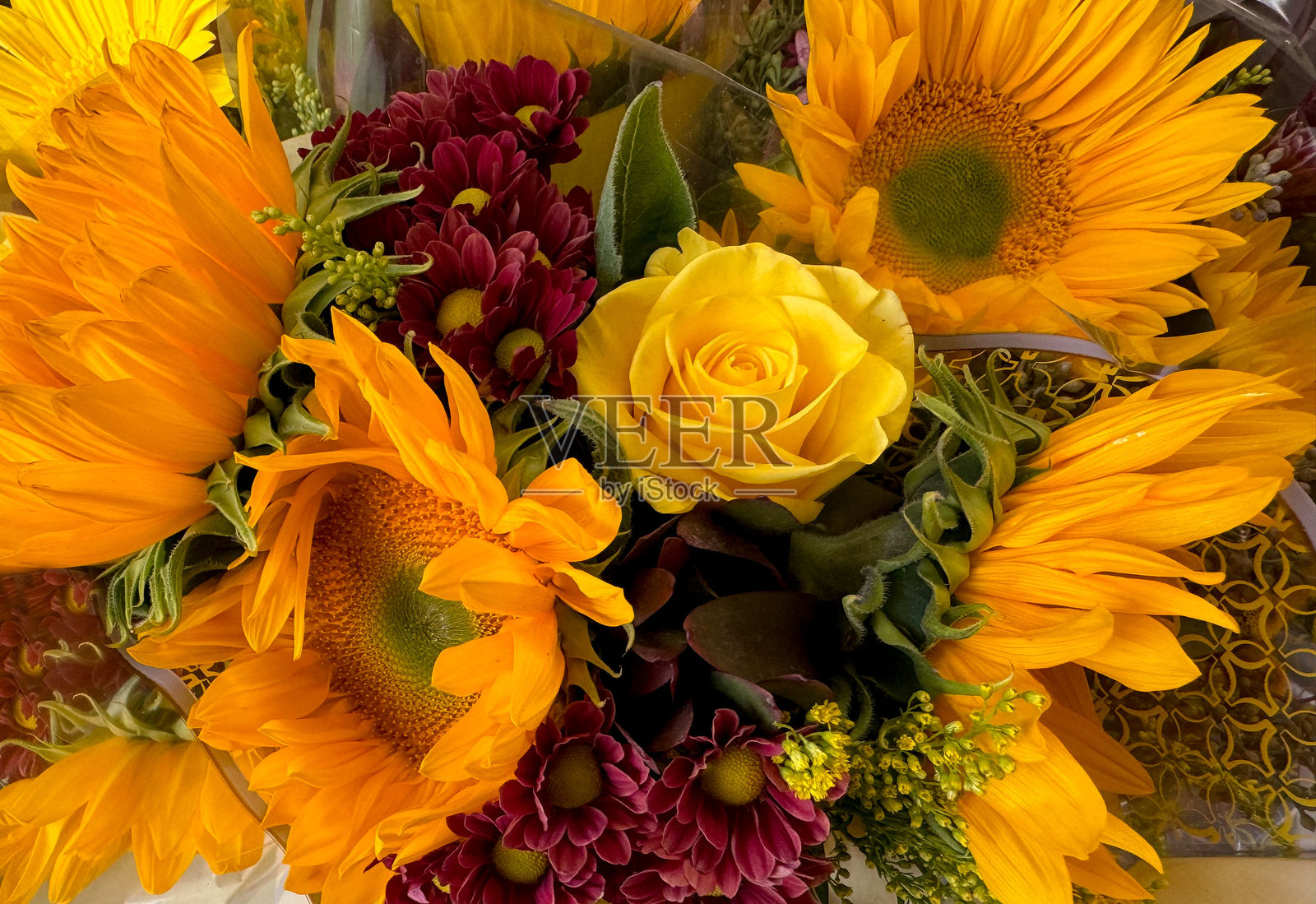 秋天,花卉排列 #1照片摄影图片