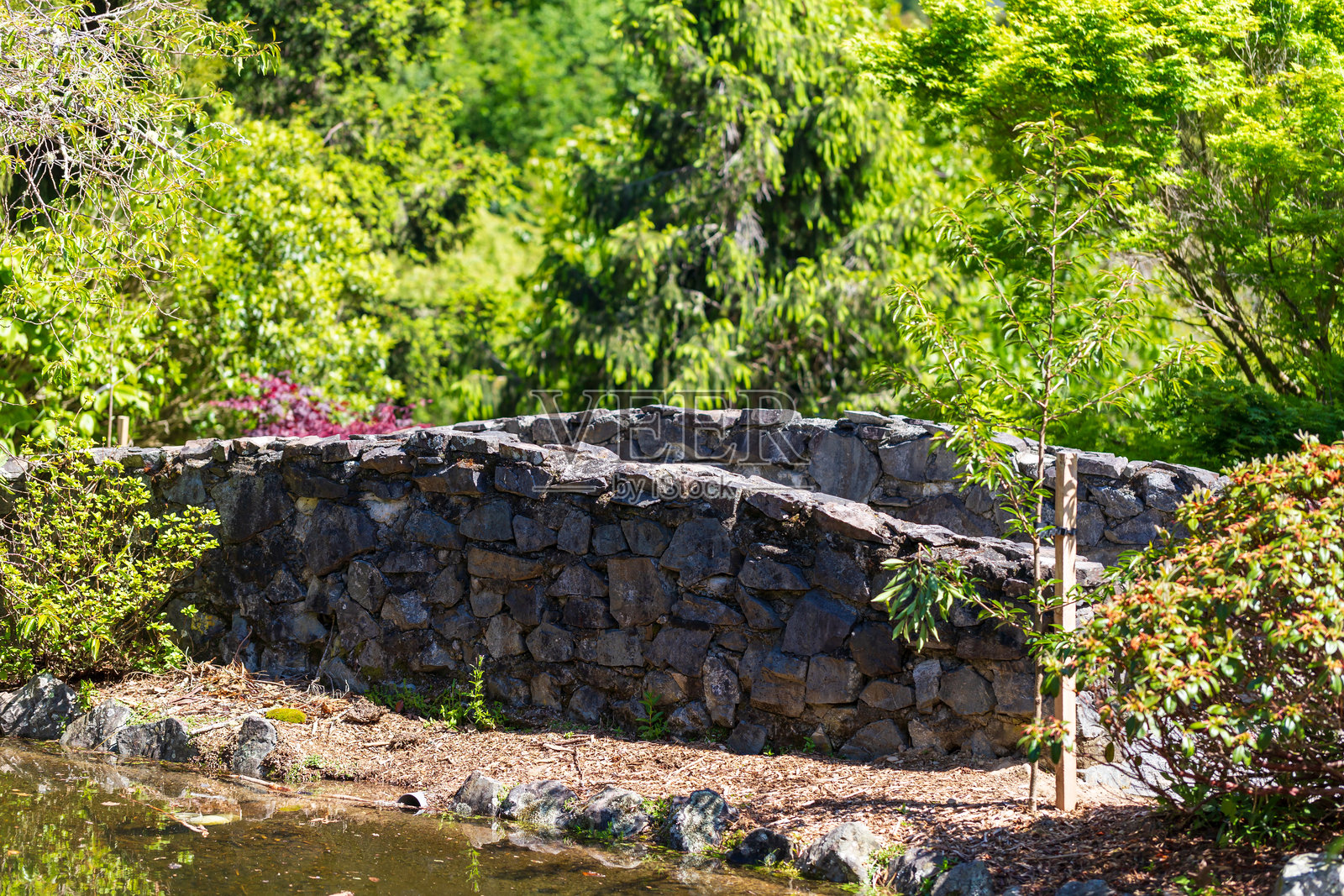 新西兰郁郁葱葱的池塘上的石头花园桥照片摄影图片
