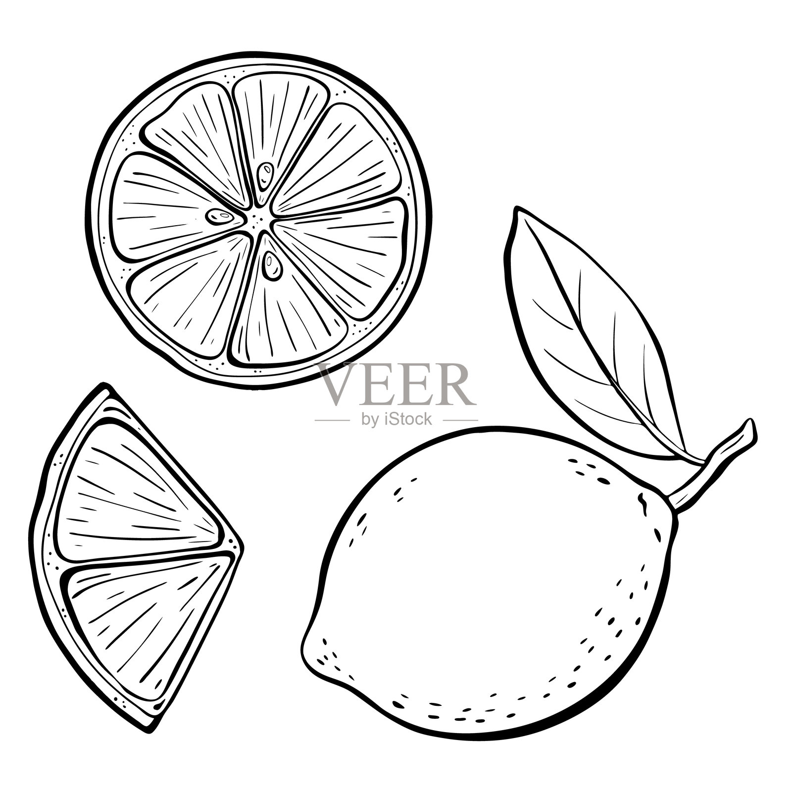 一幅美丽的手绘插图,描绘了一个柠檬和一个青柠,复古风格。矢量素描插图。插画图片素材