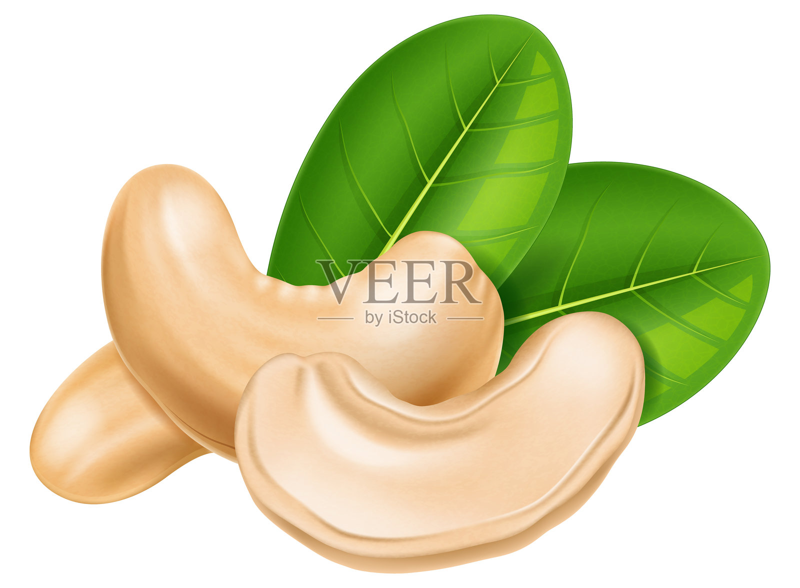 整颗和半分的腰果,背景有绿色叶子。插画图片素材