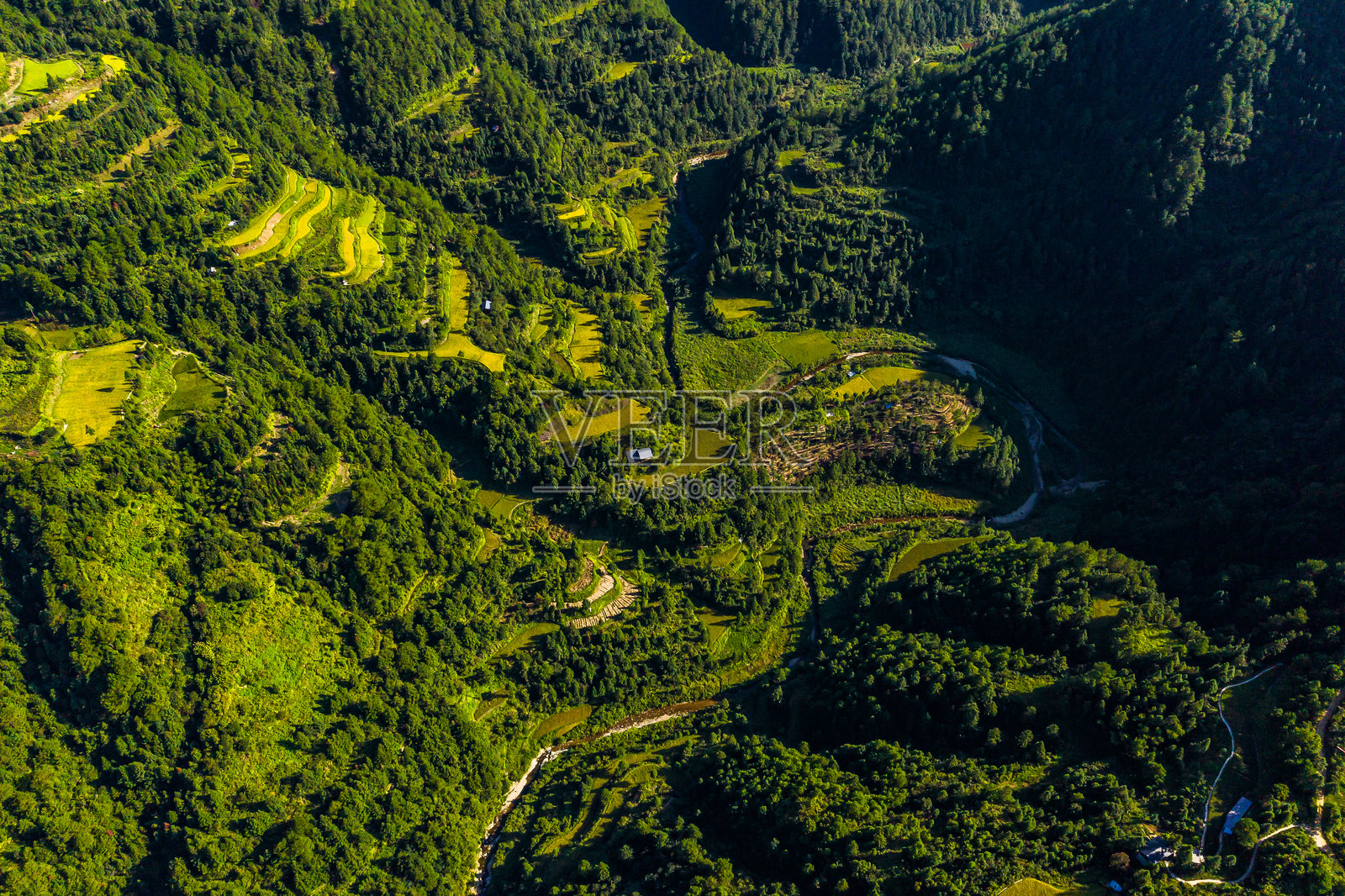 梯田,贵州,西江千户苗寨,中国,亚洲。中国风格的古代建筑。照片摄影图片