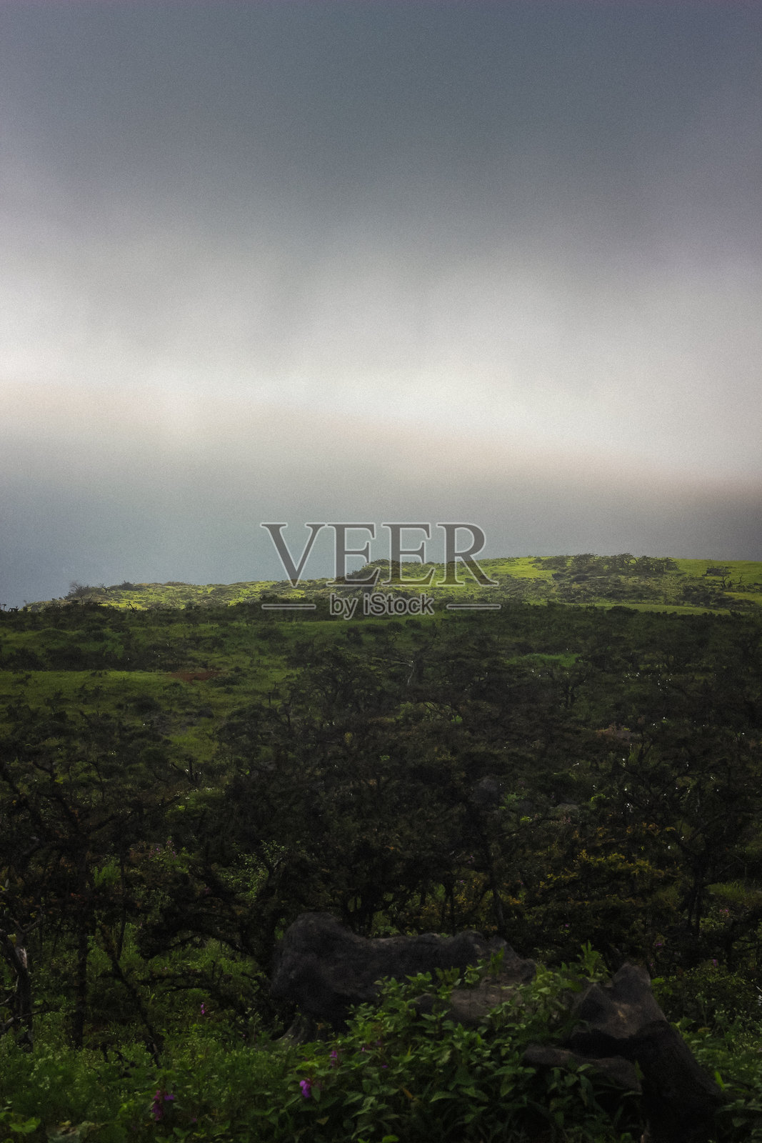 季风季节的塞拉莱景观照片摄影图片