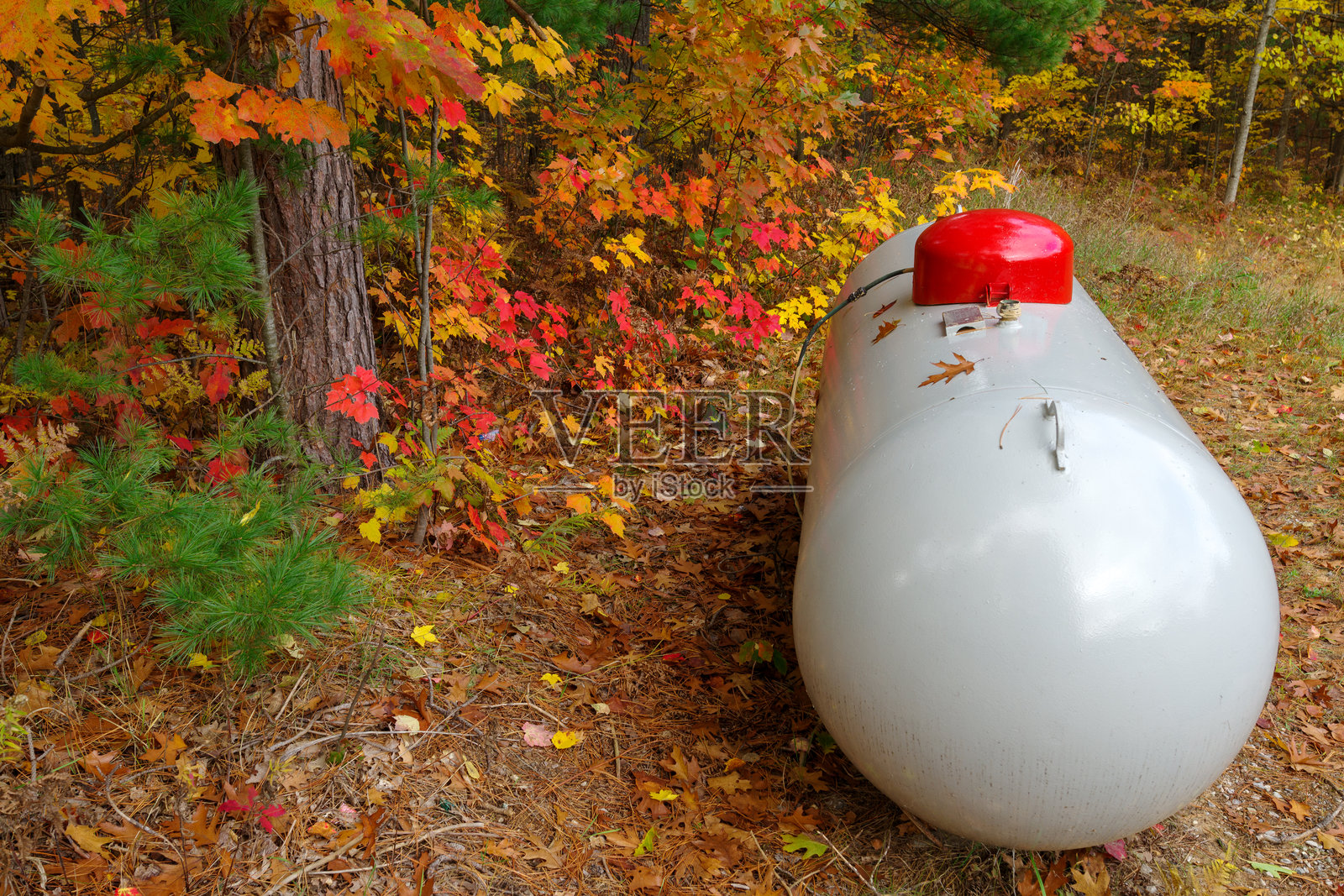 丙烷罐和秋叶照片摄影图片