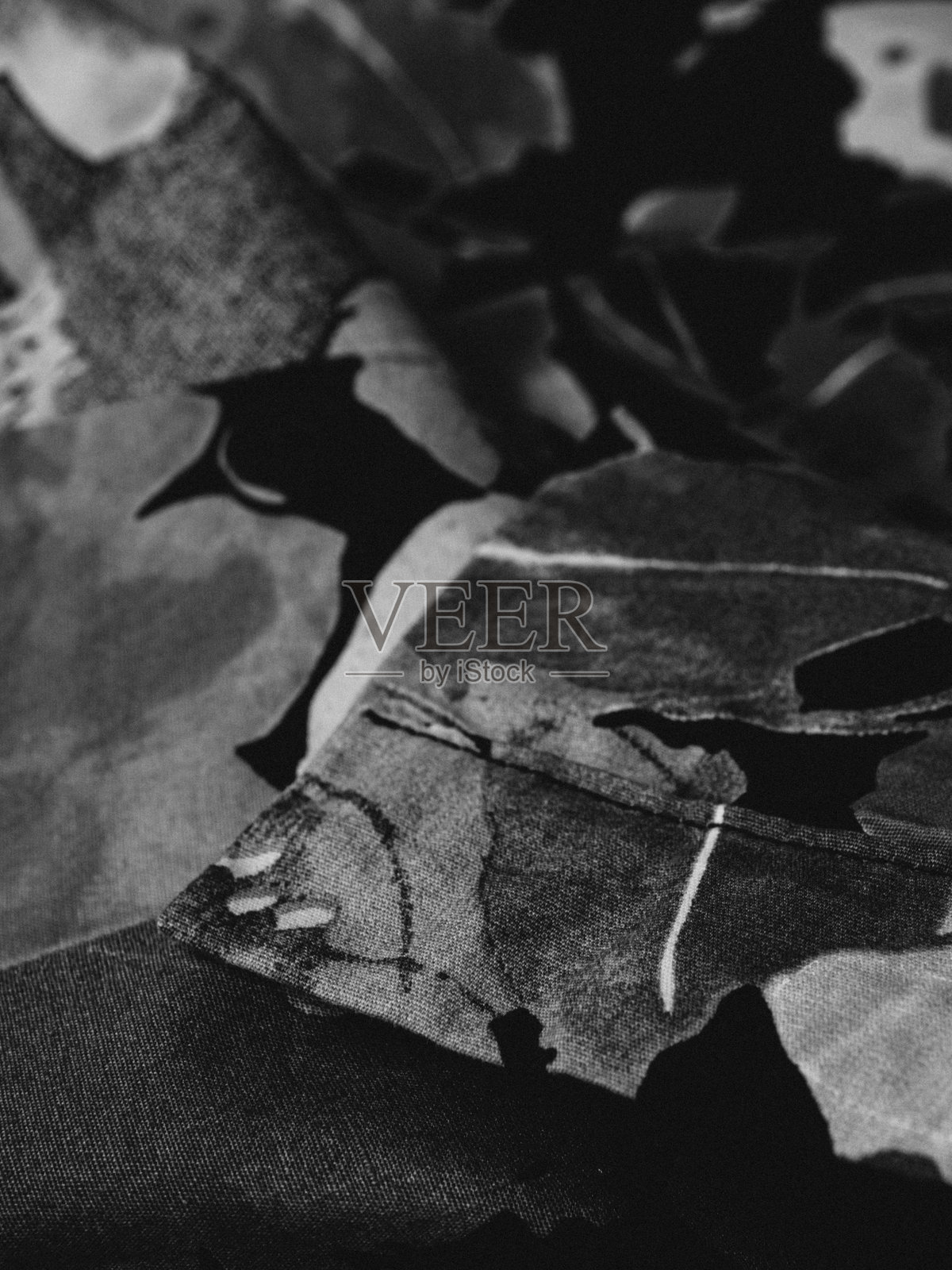 美丽的面料照片摄影图片