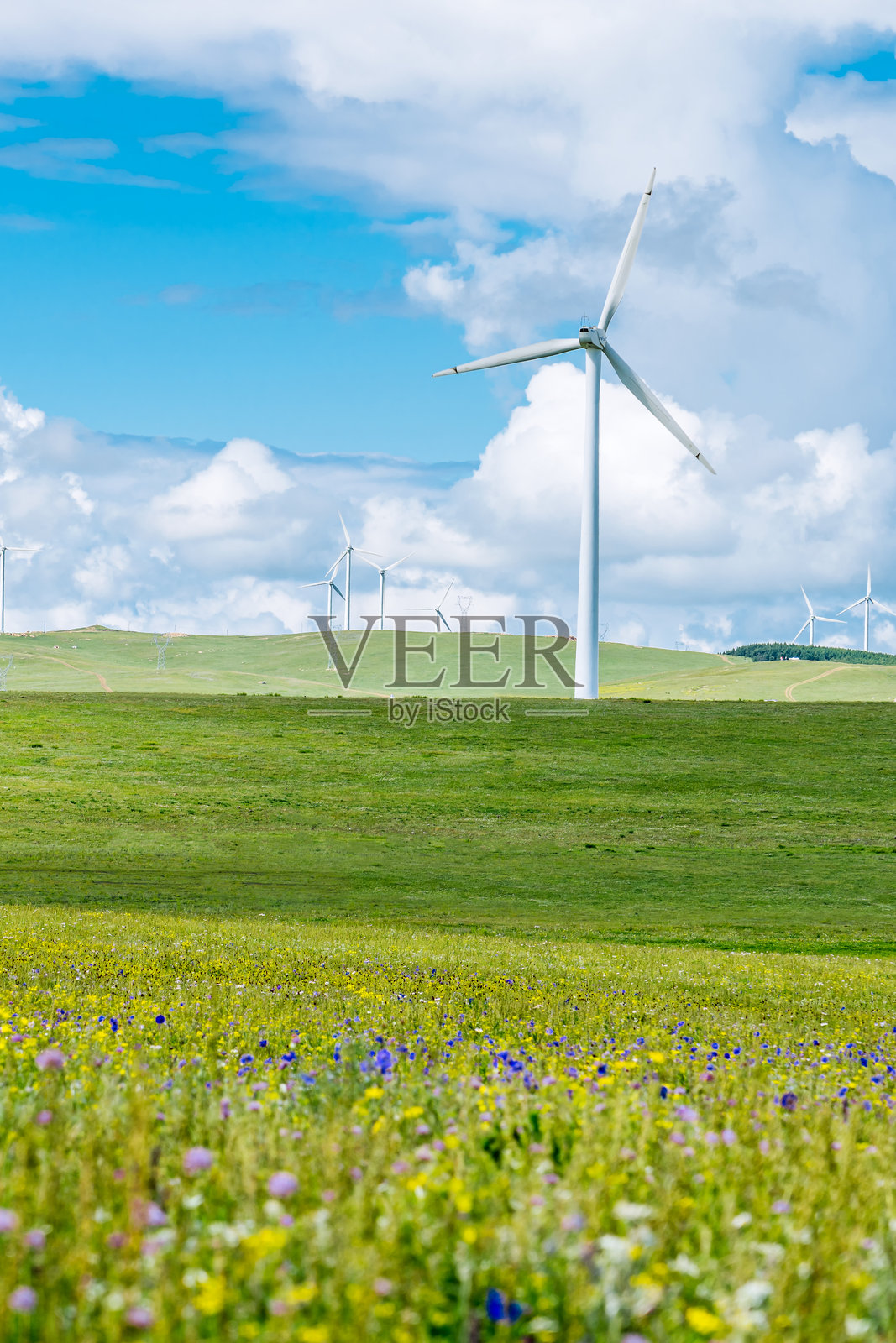 中国内蒙古惠腾锡勒草原上的风电场照片摄影图片