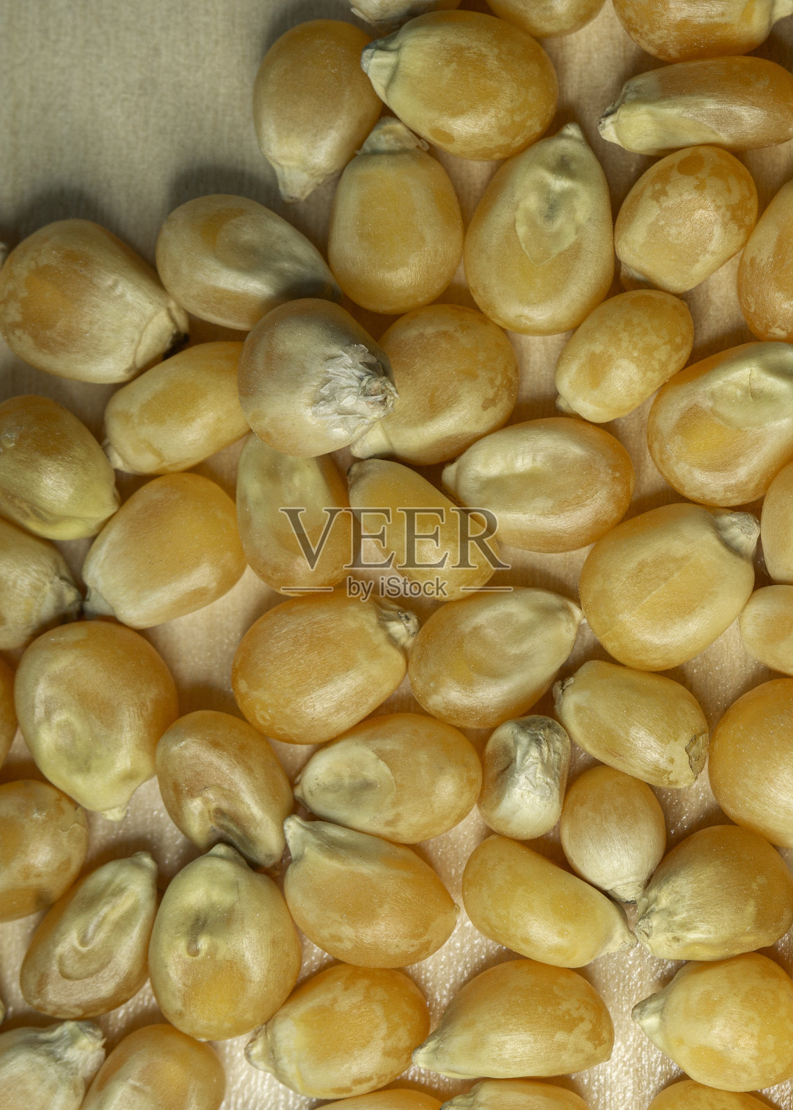 黄色谷物玉米特写照片摄影图片