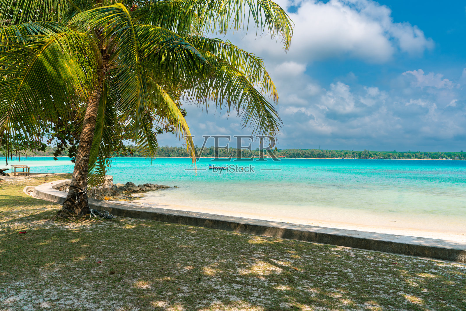 美丽日落背景下的棕榈树。热带度假背景概念。阴郁的天空。照片摄影图片