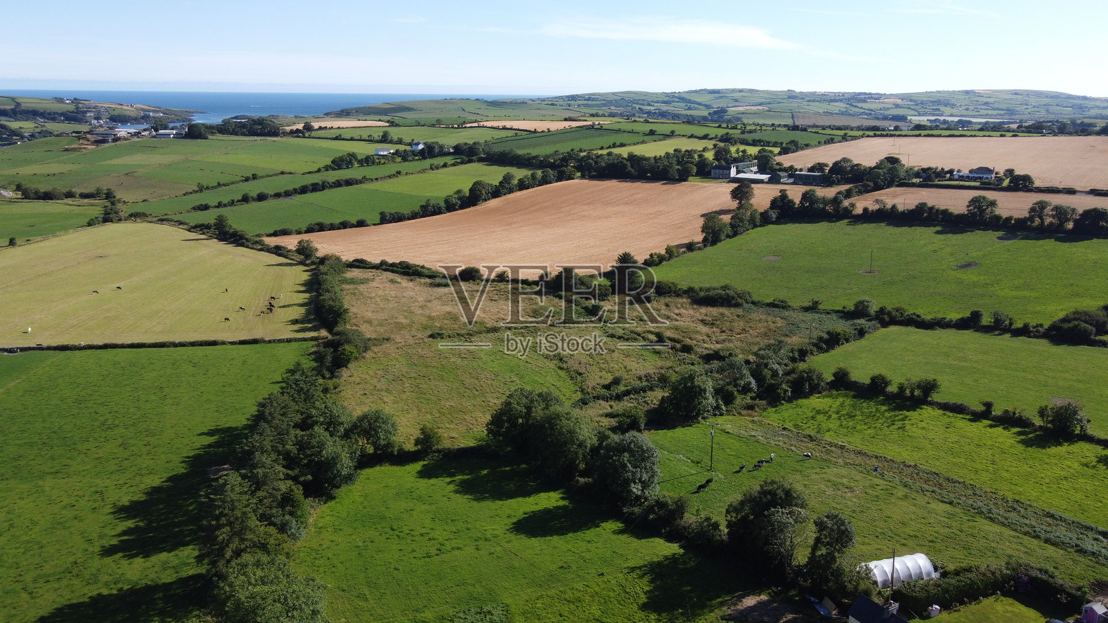 农业风景,夏季。草地和树木。绿草地与树木。照片摄影图片