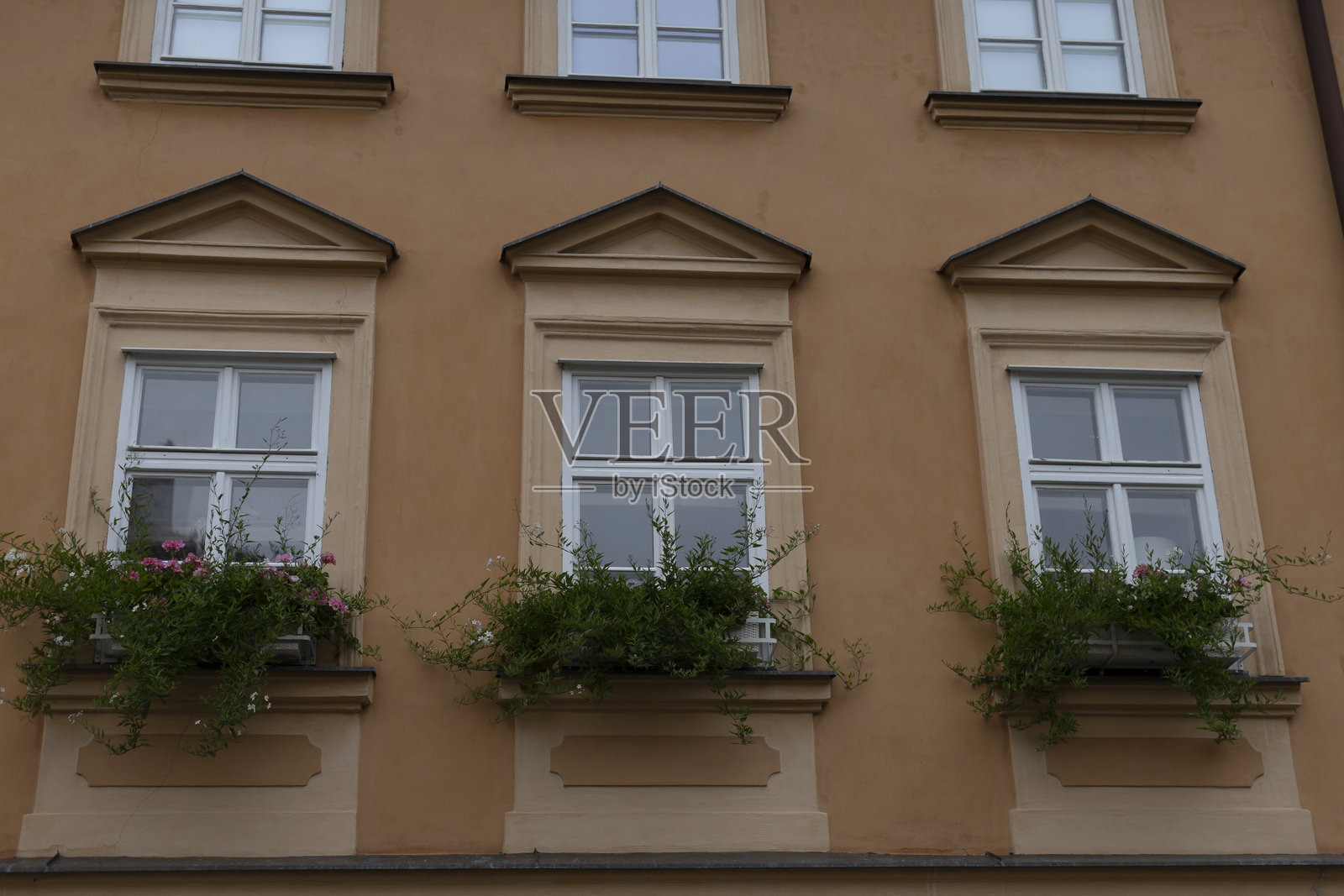 建筑上有三扇美丽的窗户,窗内摆满了花朵。照片摄影图片