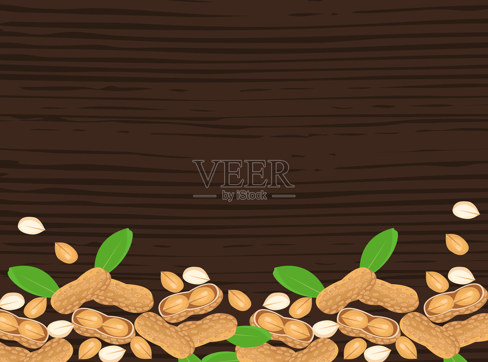 花生插画图片素材