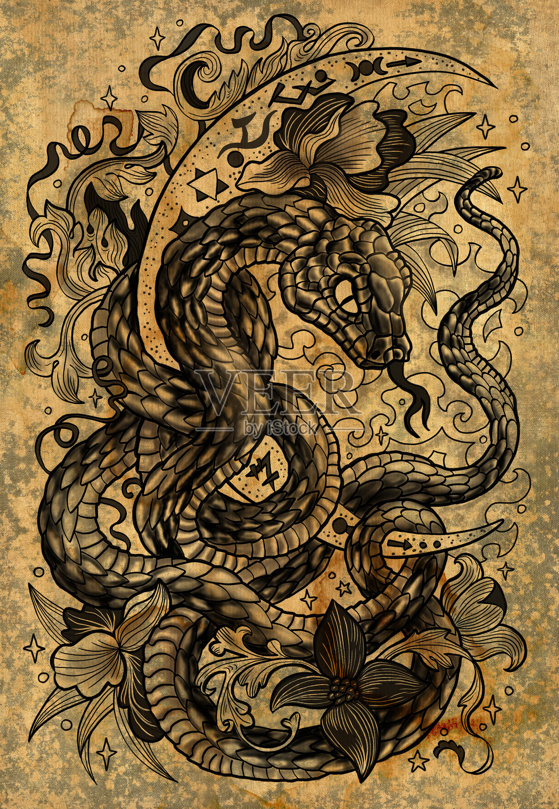 带有蛇的图形插图 - 根据中国生肖的年度象征,以及在纹理背景下的月亮。神秘、哥特式和神秘的艺术作品,适合印刷、纹身和卡片的史诗概念。照片摄影图片