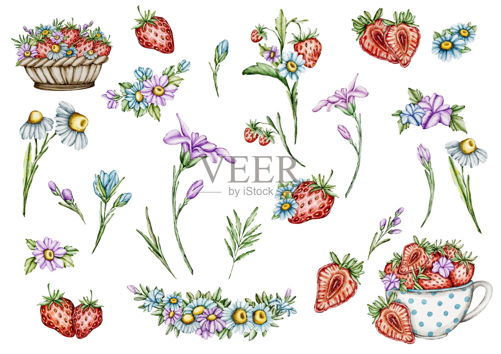 可爱的老鼠与草莓的剪贴画元素套装照片摄影图片