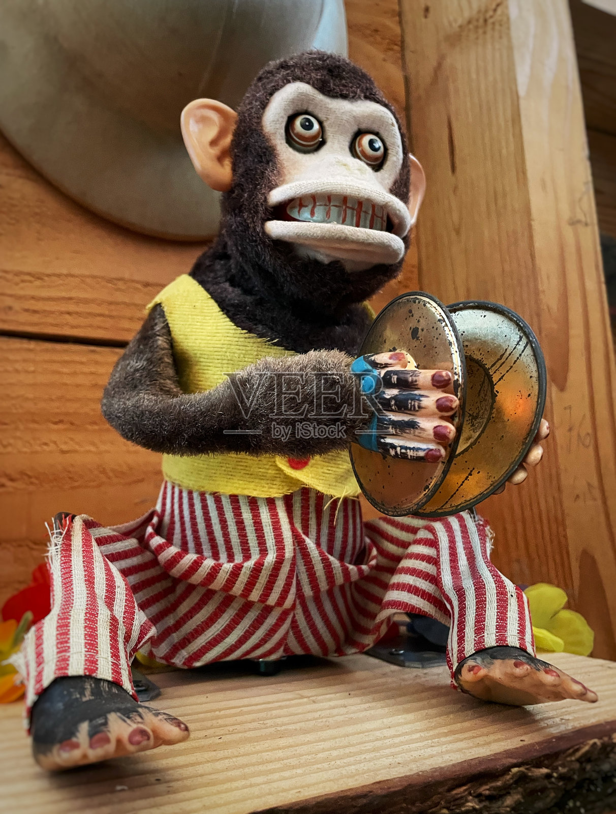 快乐的猩猩照片摄影图片