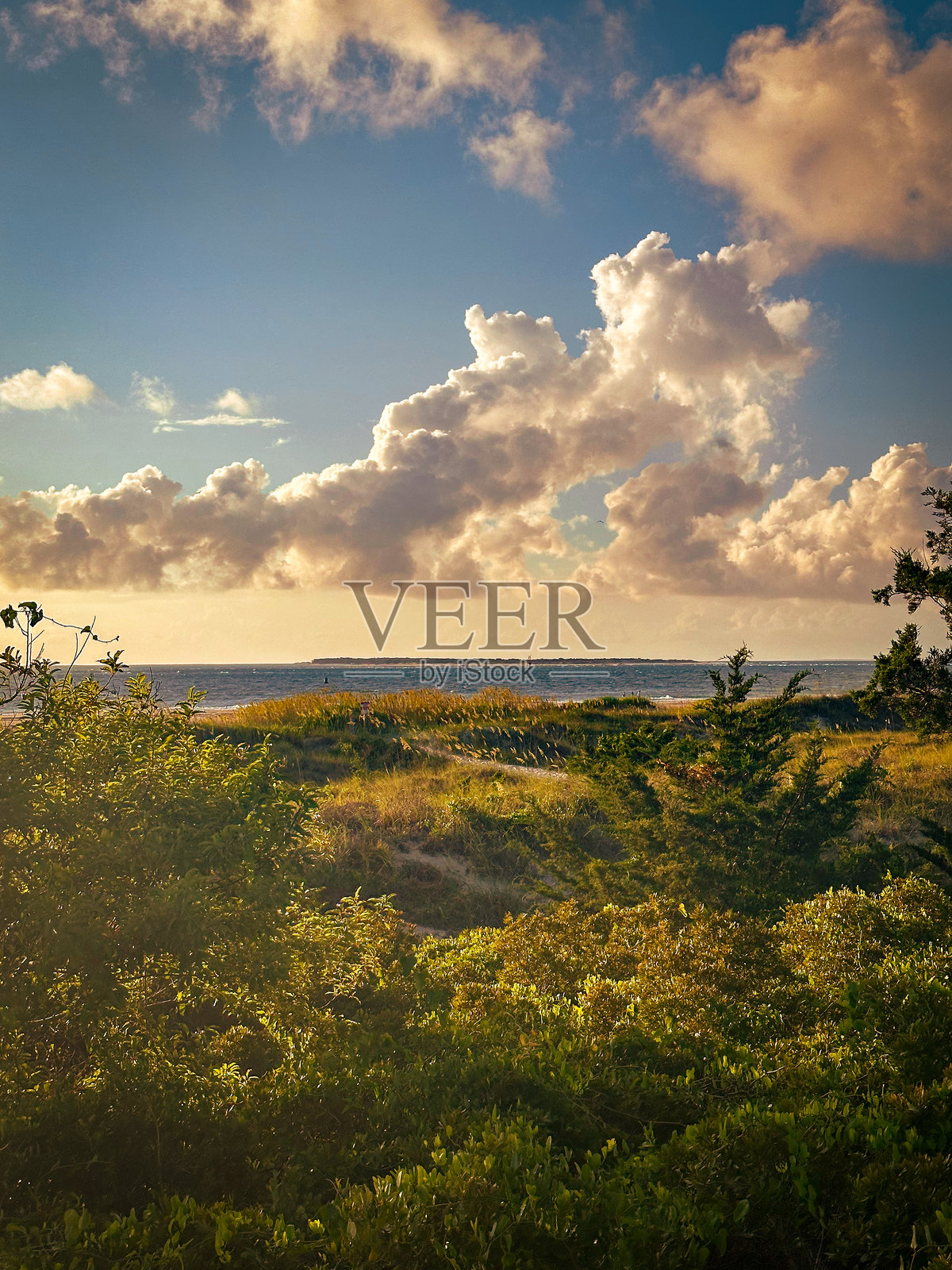 美丽的海岸风景在金色的晨光中。照片摄影图片