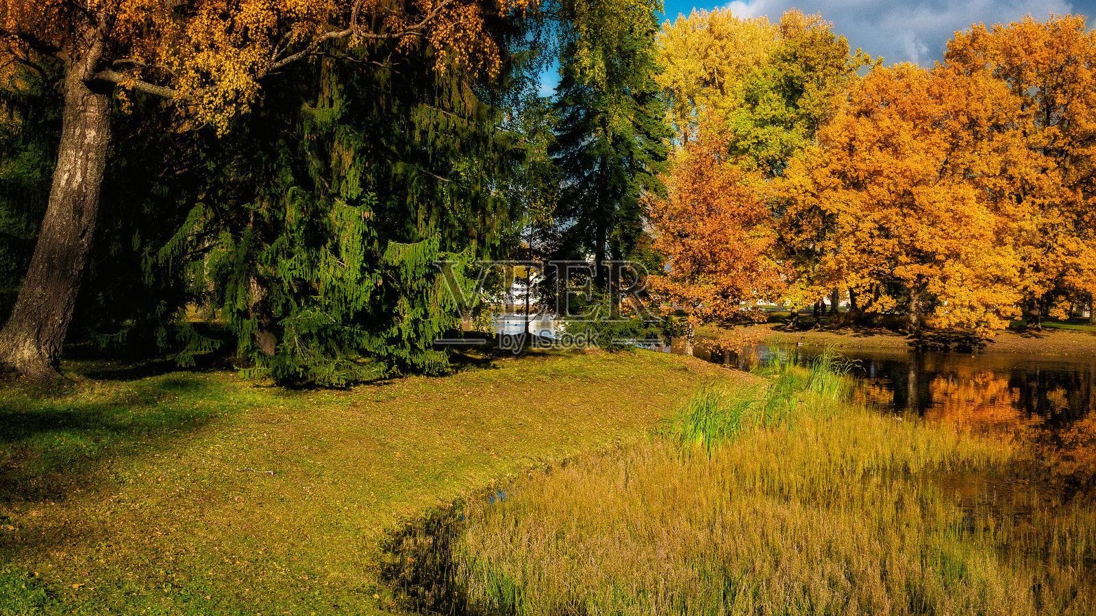 美丽的阳光明媚的秋季森林风景。令人惊叹的公园与湖泊。照片摄影图片