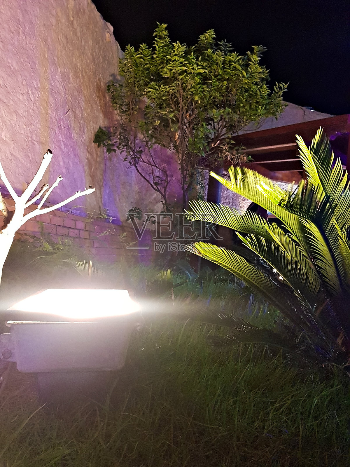 聚光灯室内照明在家庭花园中创造出令人兴奋的效果照片摄影图片