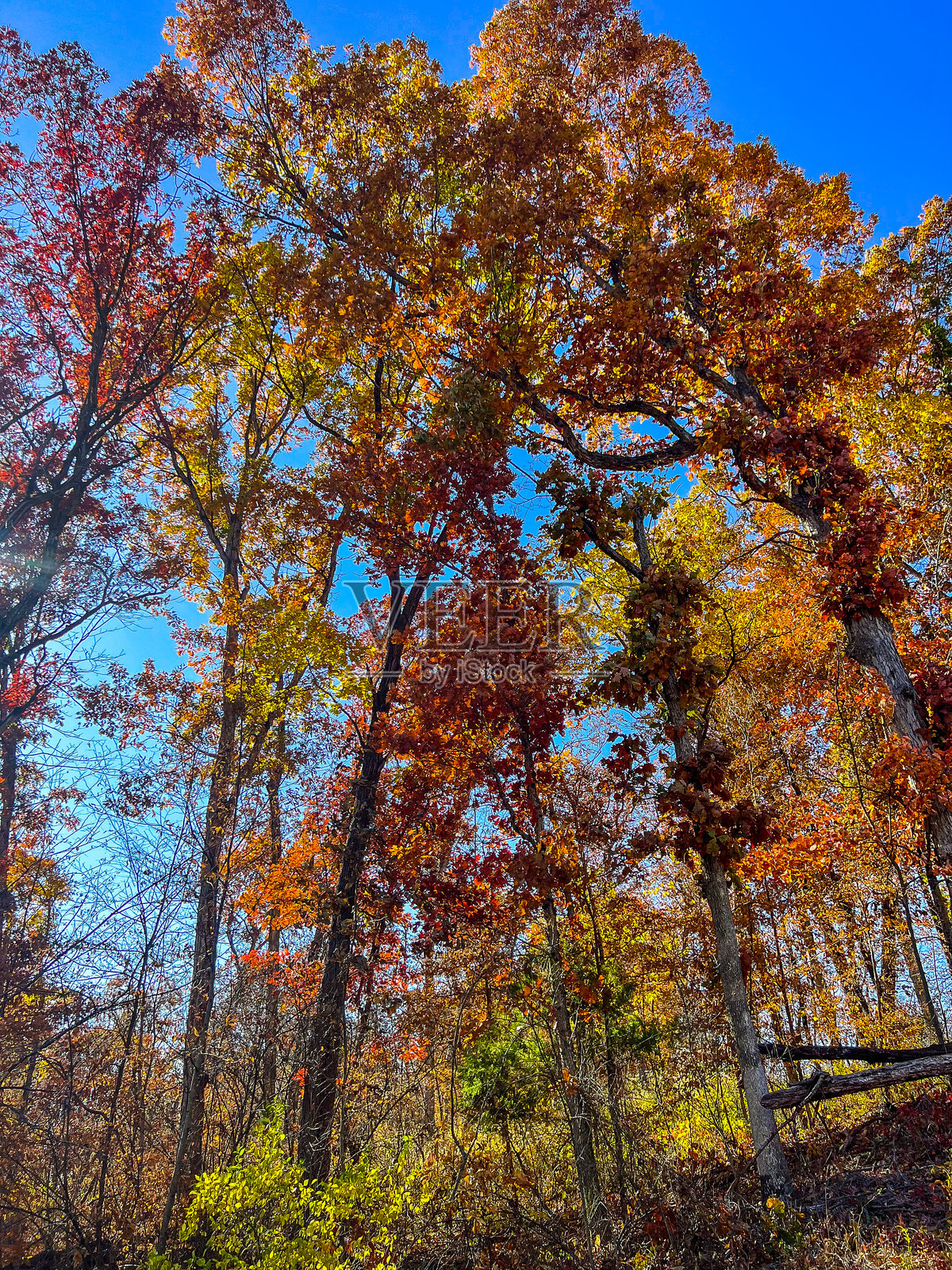 秋季风景照片摄影图片