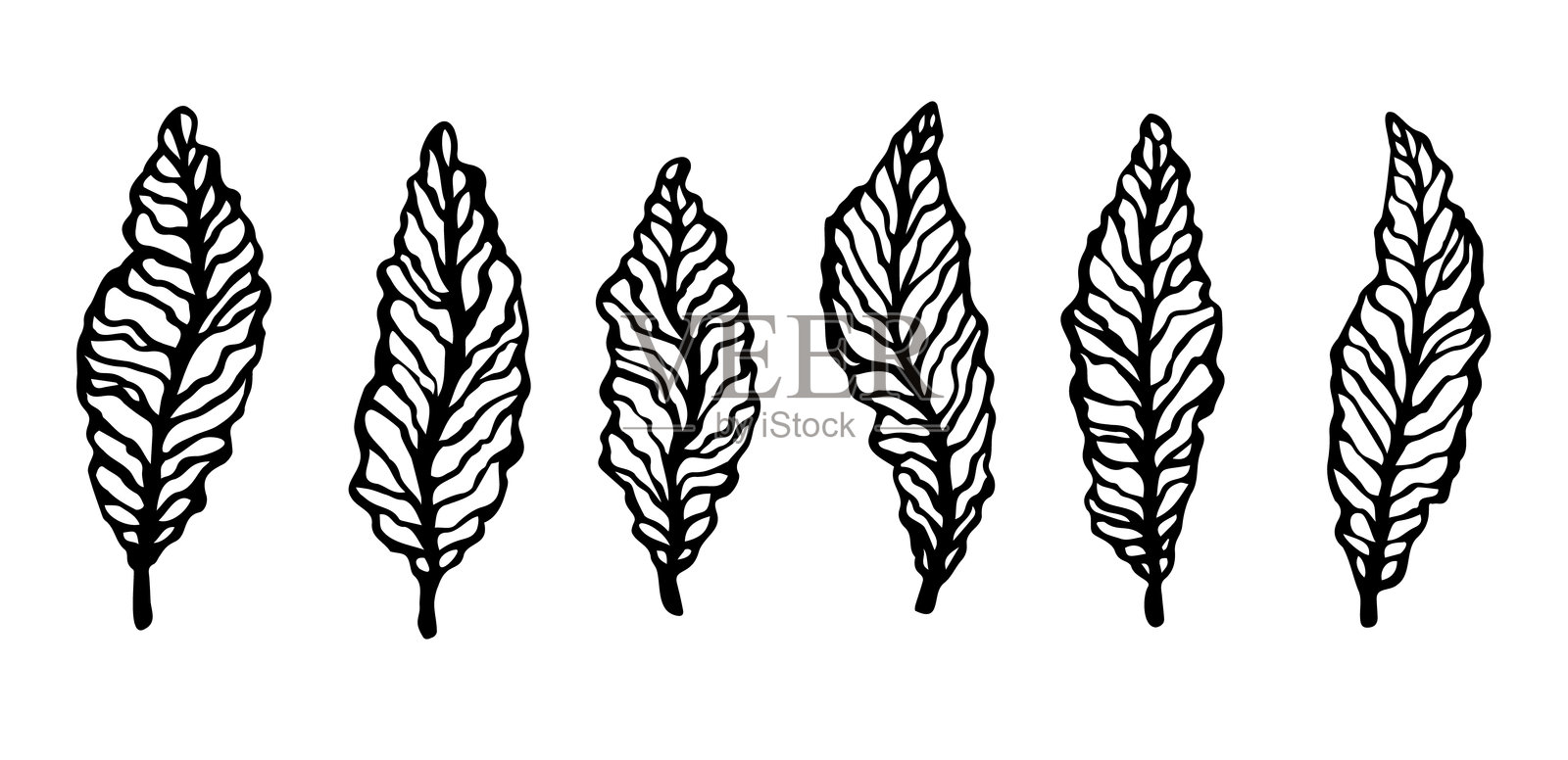 香蕉叶的矢量图集,轮廓。手绘热带元素,独立于白色背景。插画图片素材