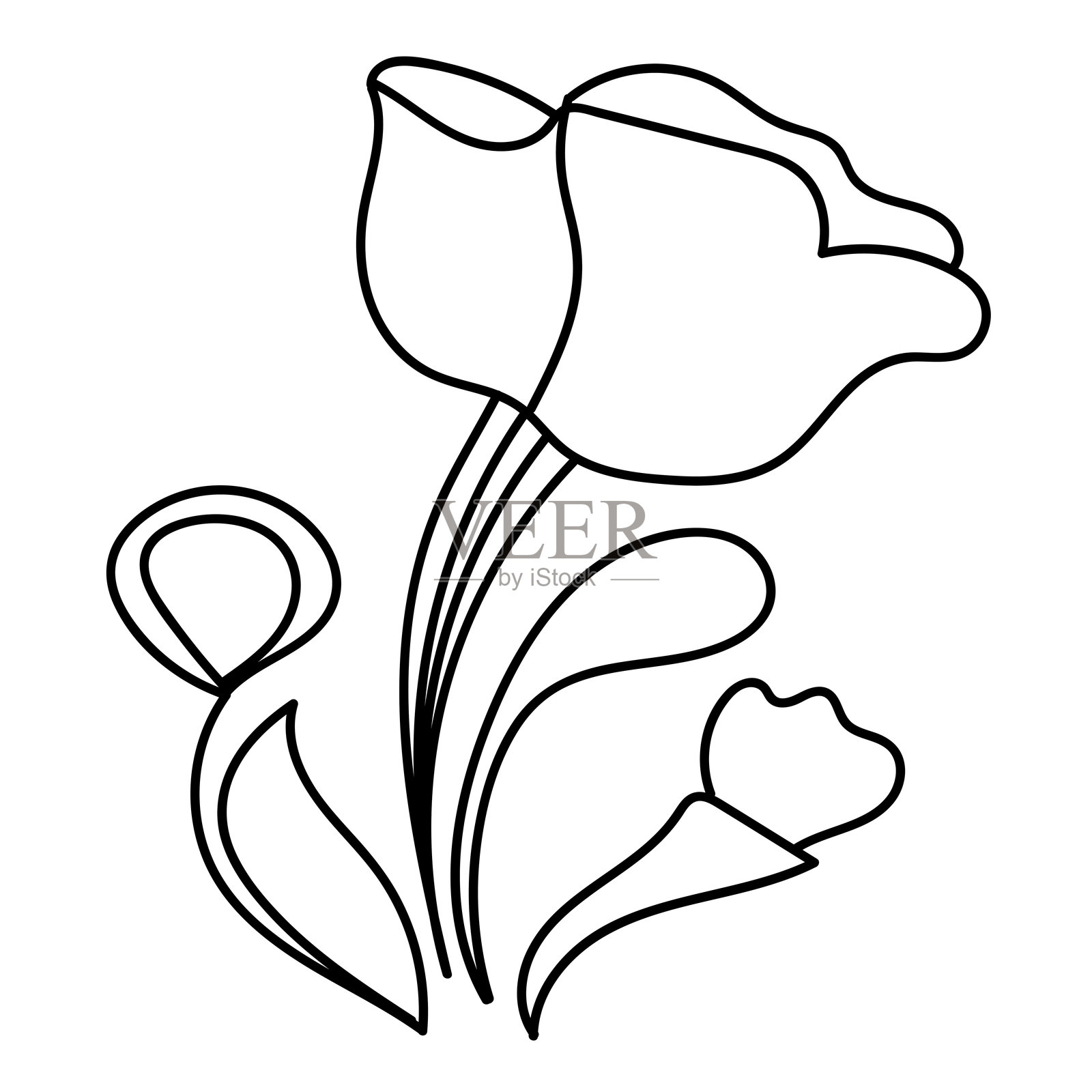 极简主义花卉矢量插图。插画图片素材