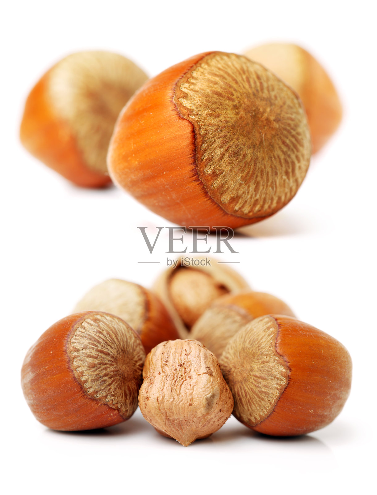 榛子照片摄影图片