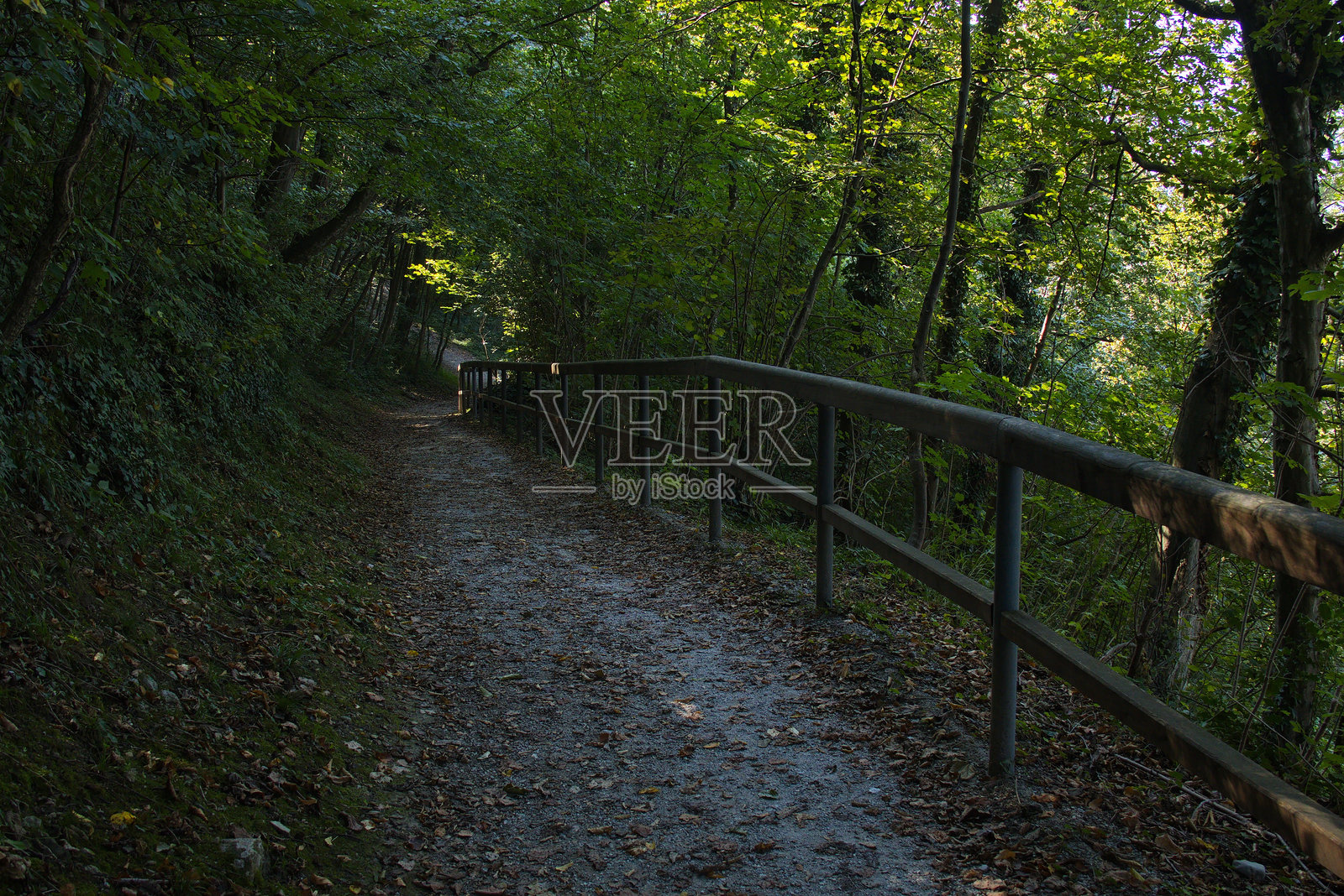 奥地利萨尔茨堡的门赫斯山全景步道,欧洲照片摄影图片