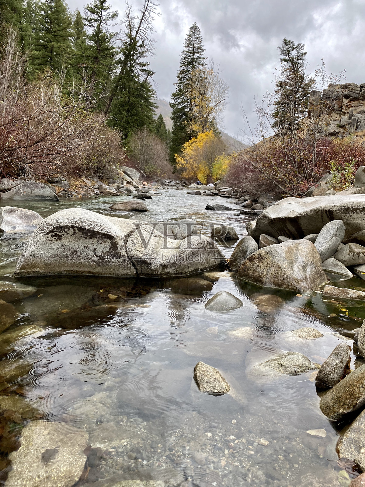 森林中河流旁被岩石环绕的温泉池照片摄影图片