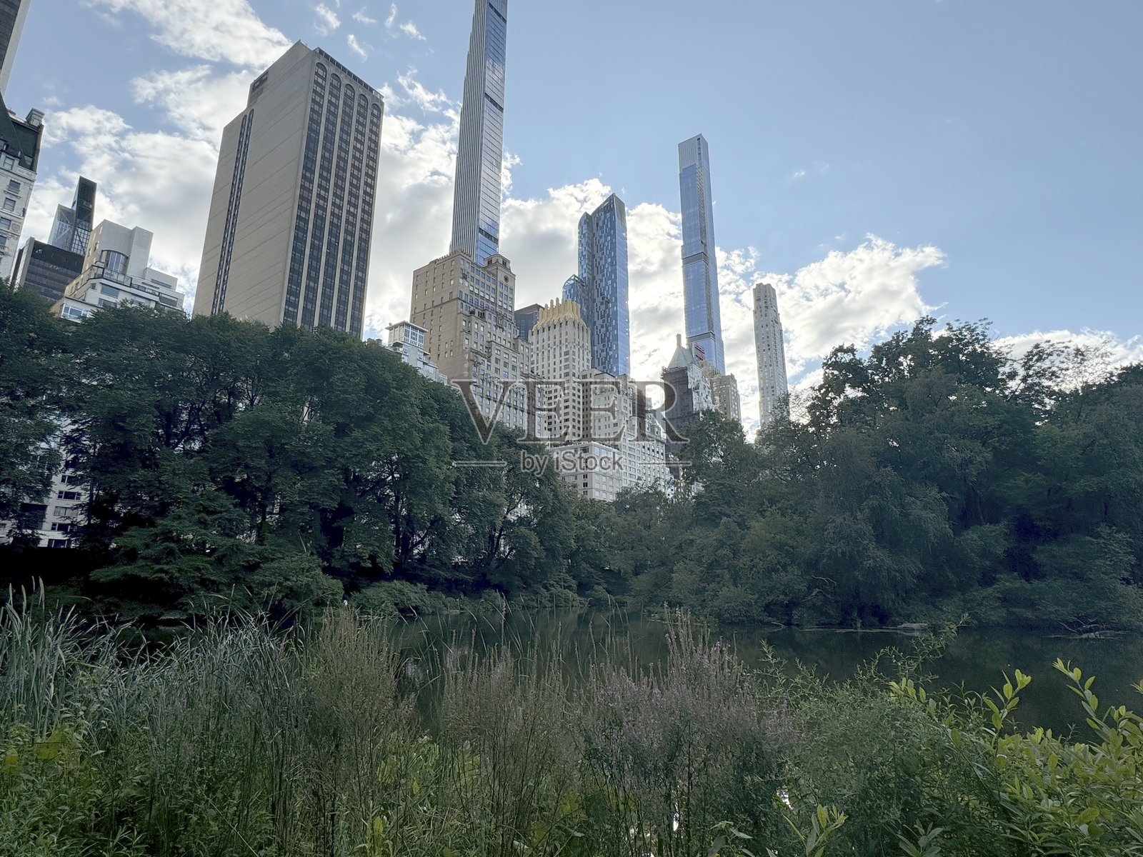中央公园背景中的摩天大楼,曼哈顿,纽约,美国照片摄影图片