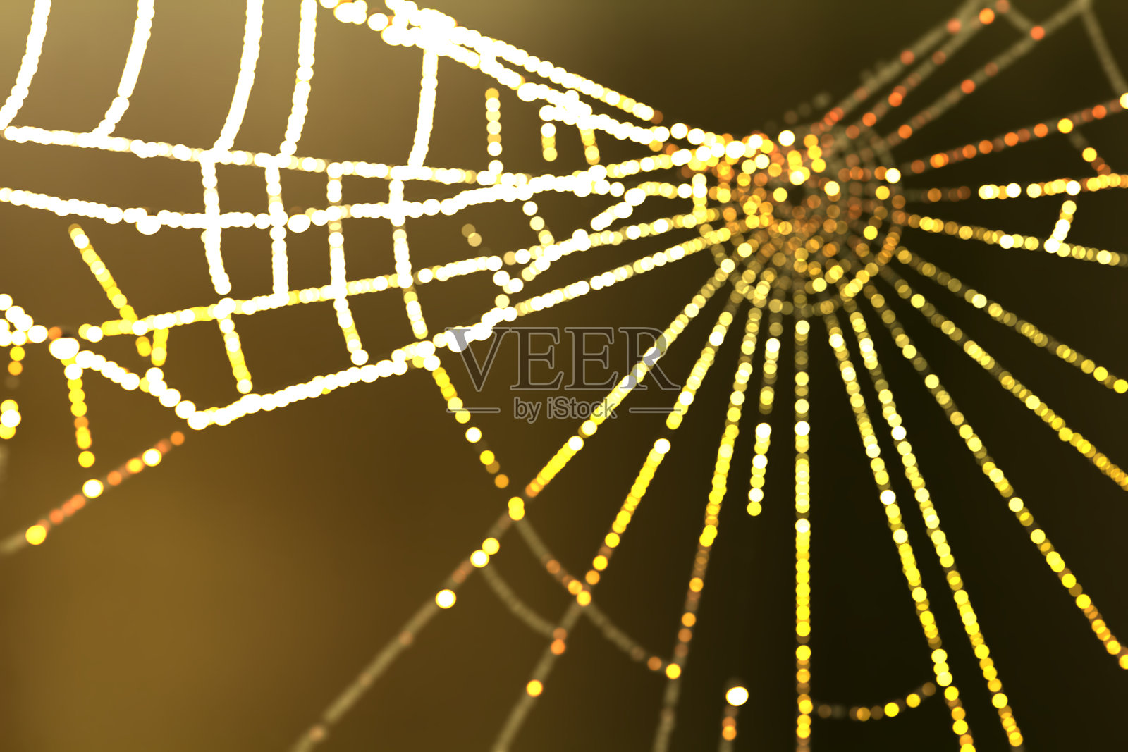 闪亮的蜘蛛网散景叠加效果照片摄影图片