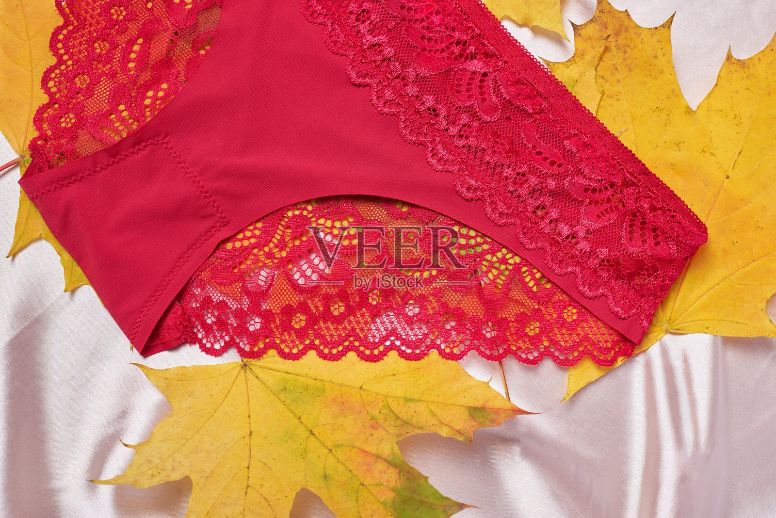 粉色背景上的红色蕾丝内裤。照片摄影图片