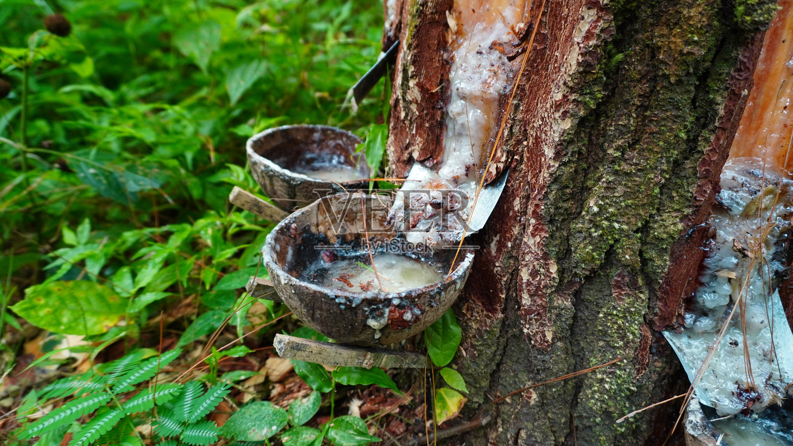 木碗中的树脂照片摄影图片
